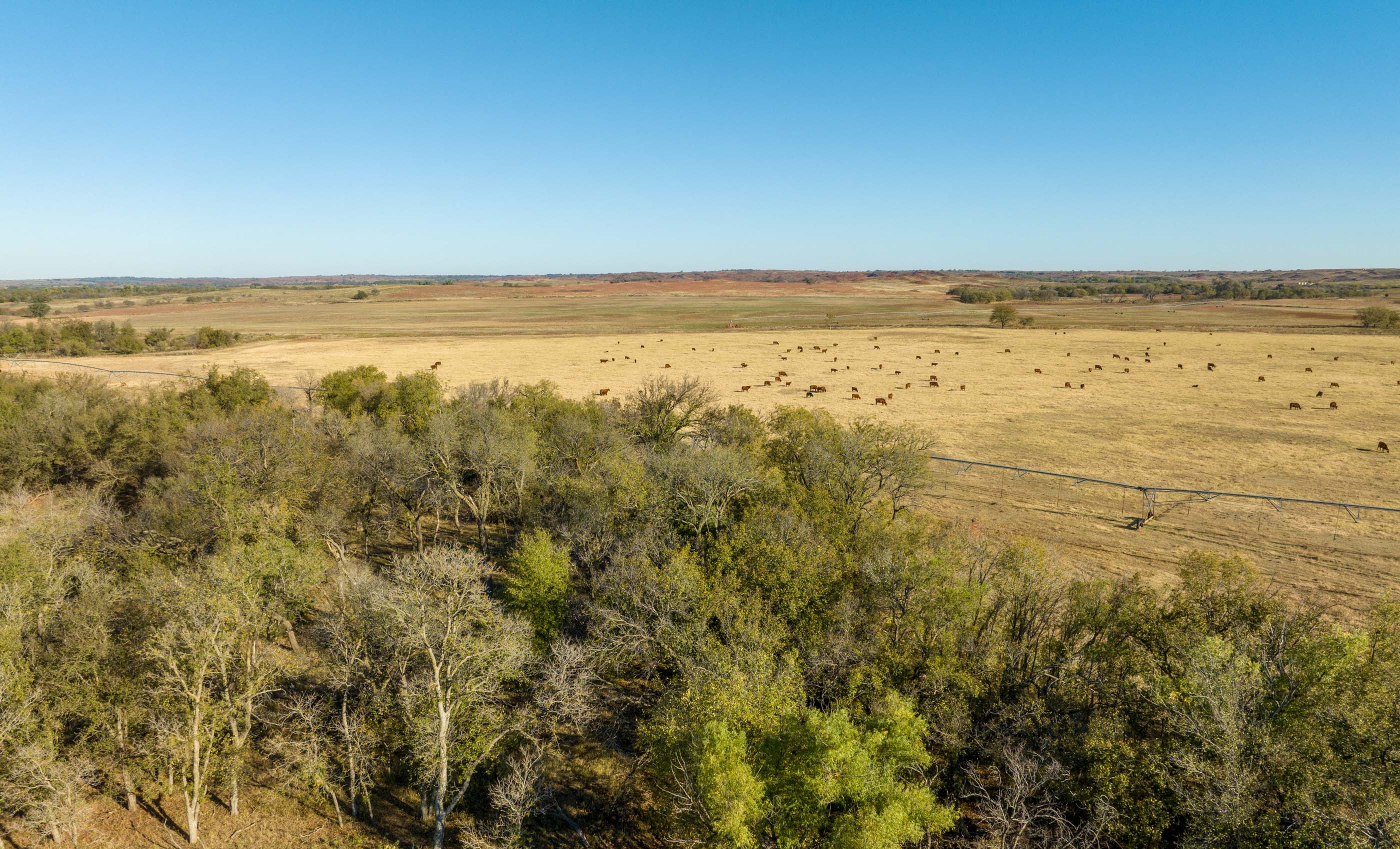 Turley Ranch archival photograph