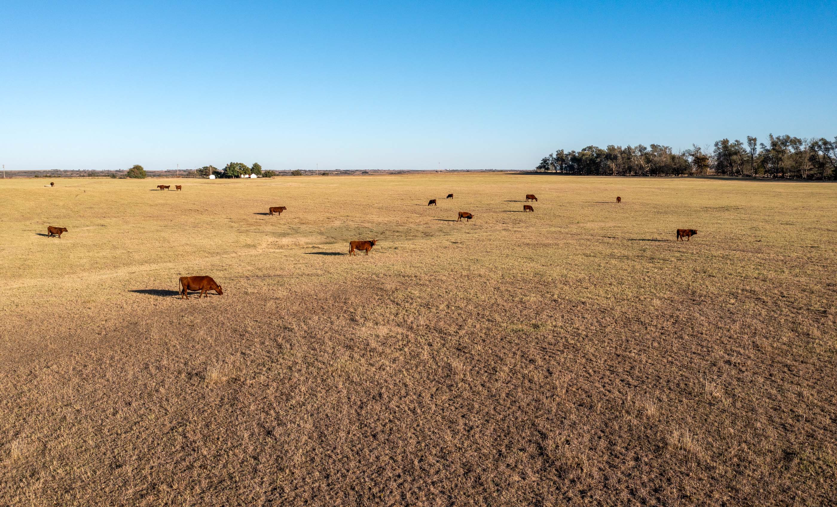 Turley Ranch archival photograph 32