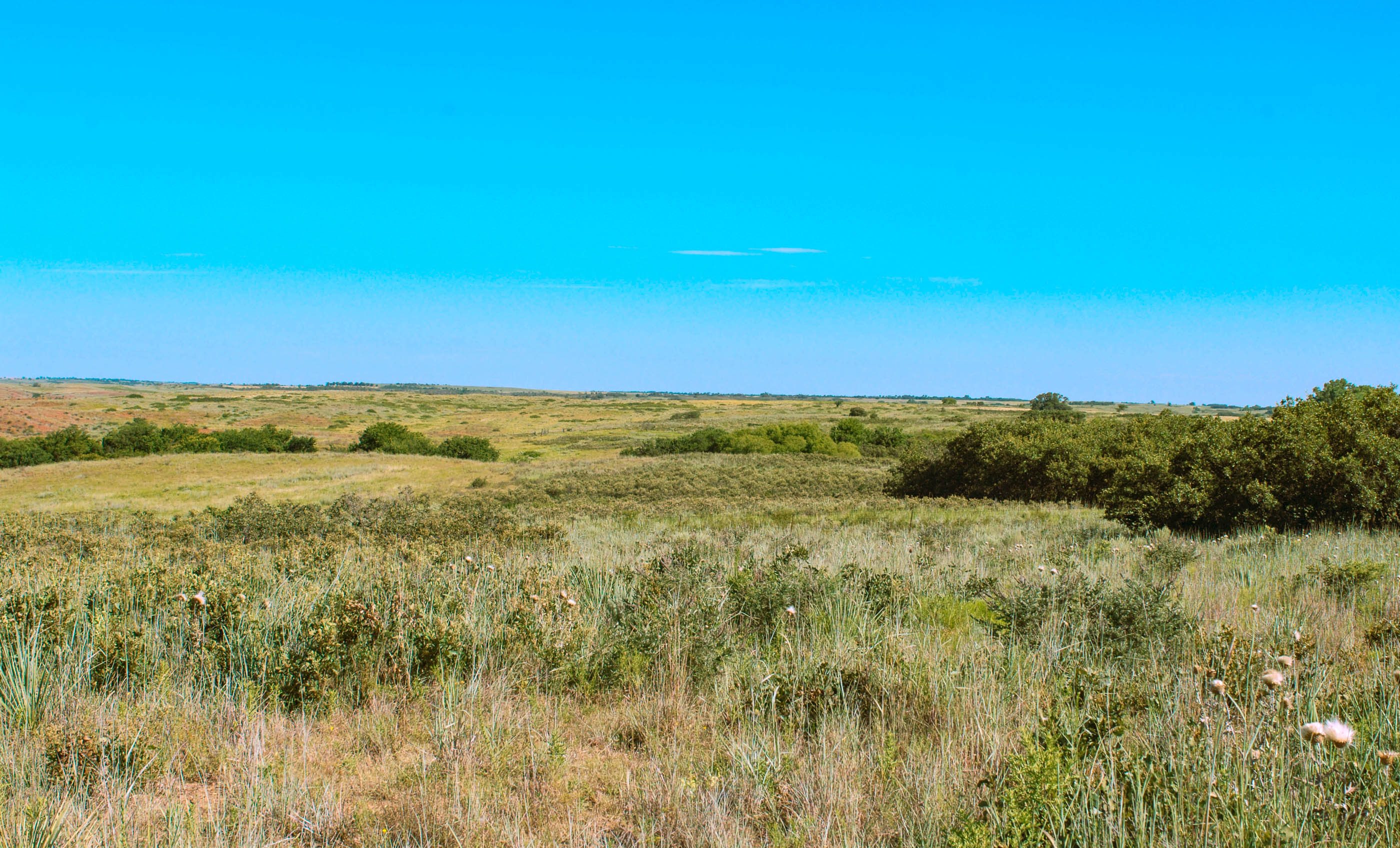 Turley Ranch archival photograph 7
