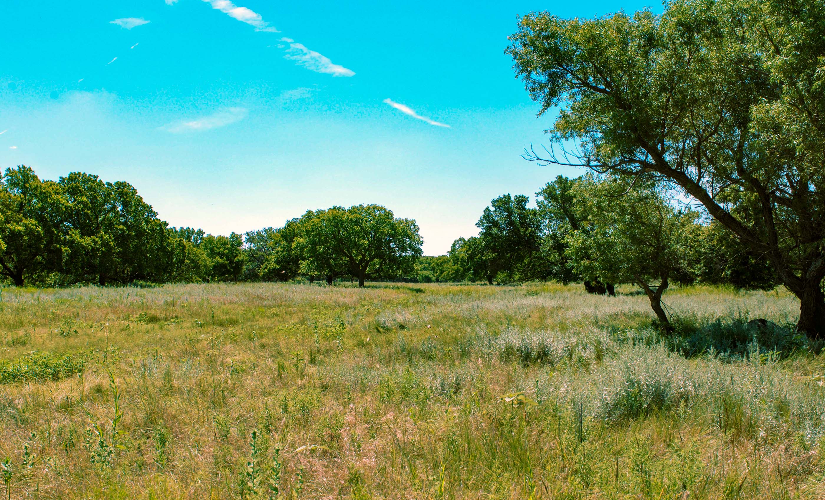 Turley Ranch archival photograph 67