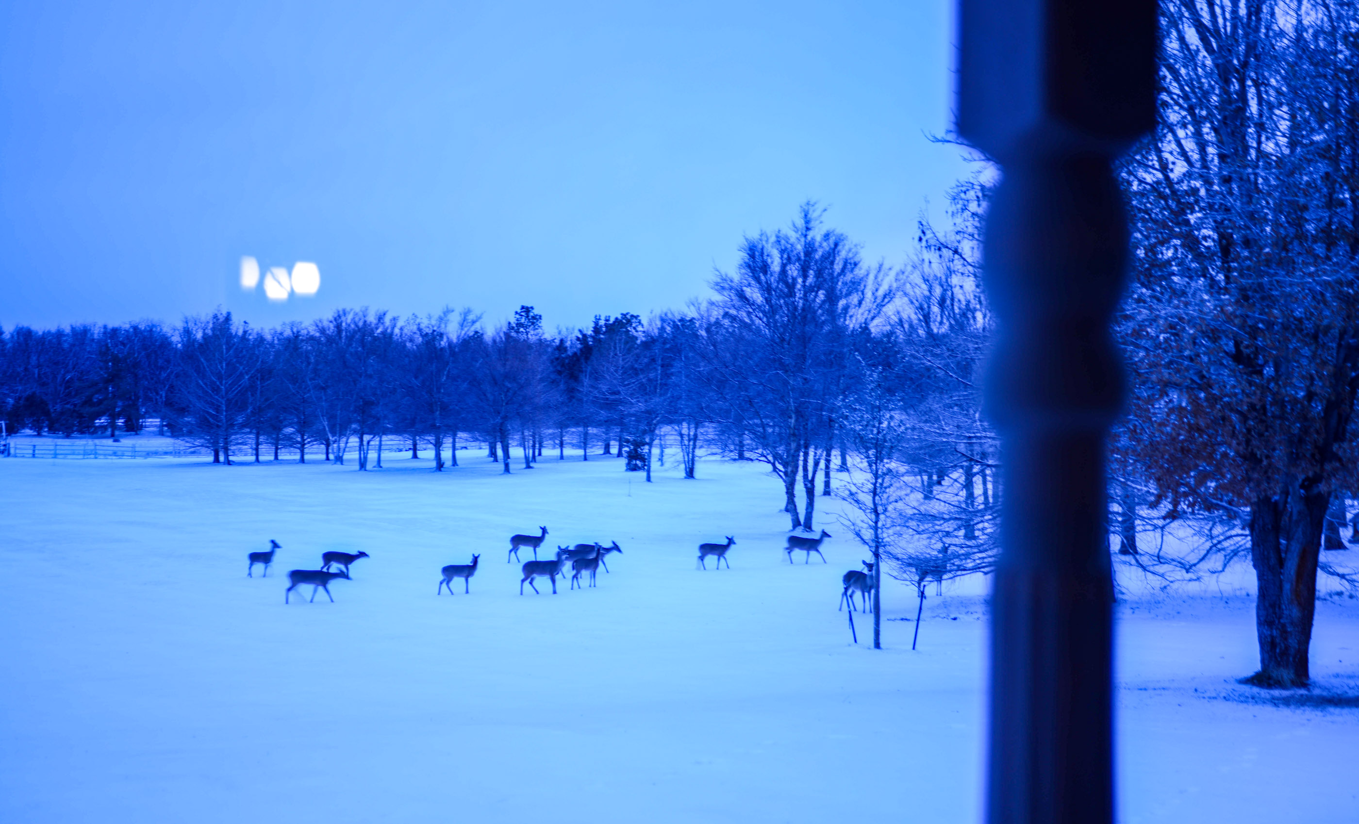Turley Ranch archival photograph 61