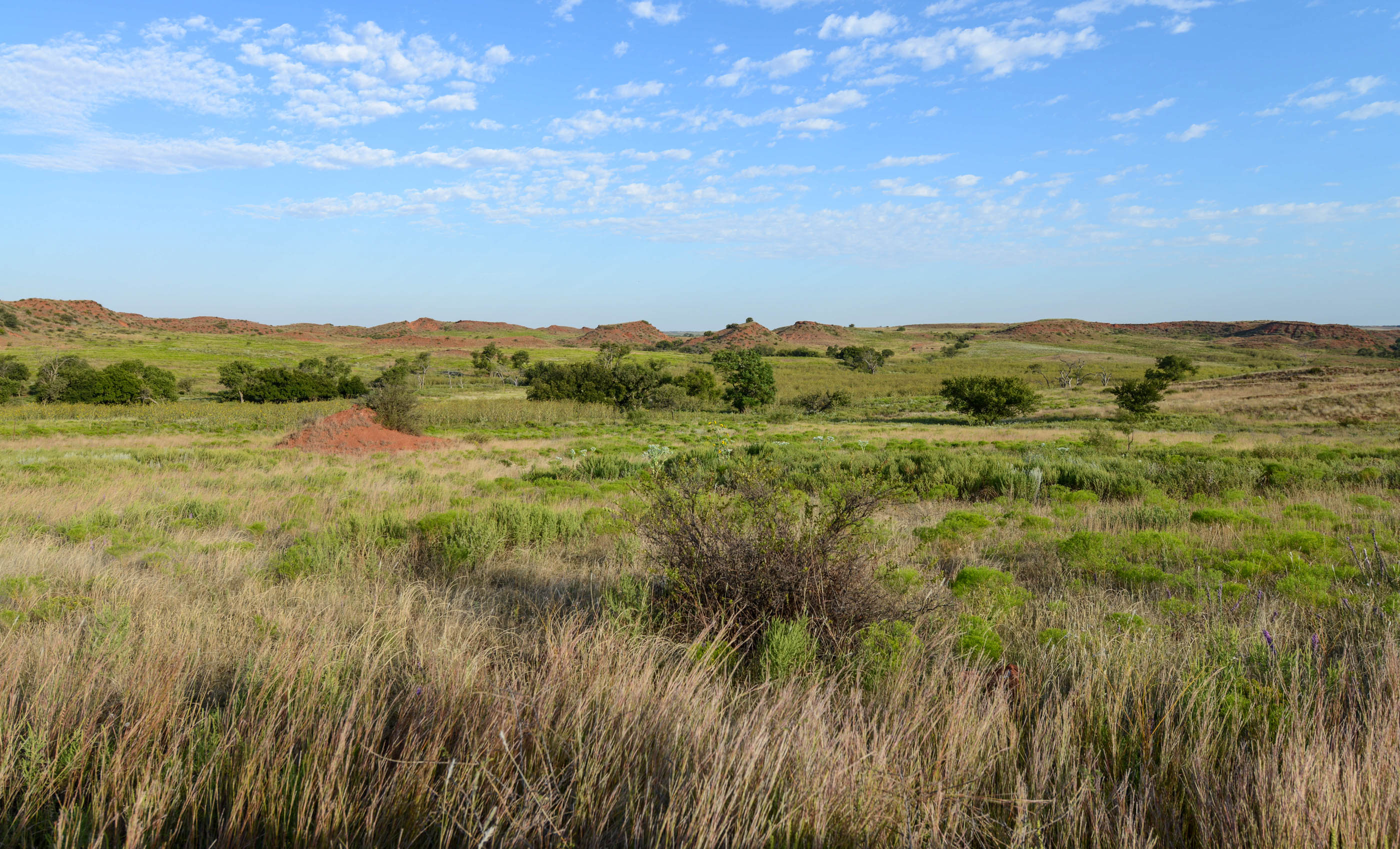Turley Ranch archival photograph 69