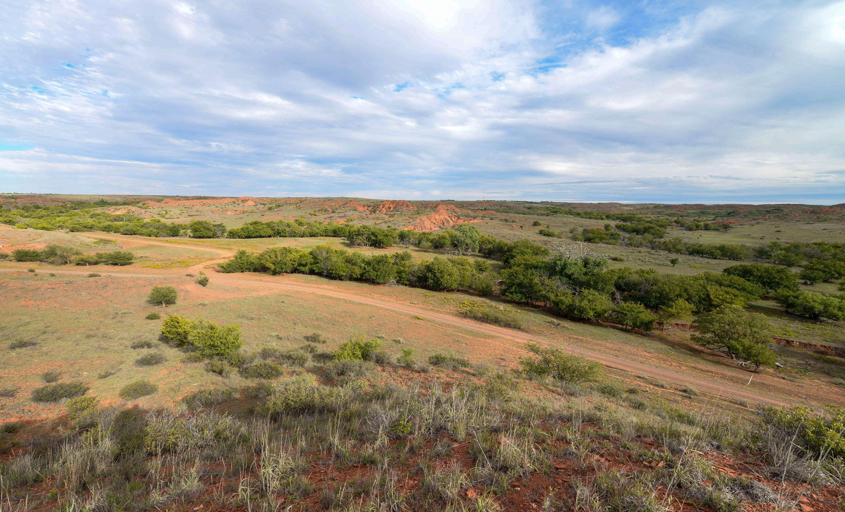 Turley Ranch archival photograph 6