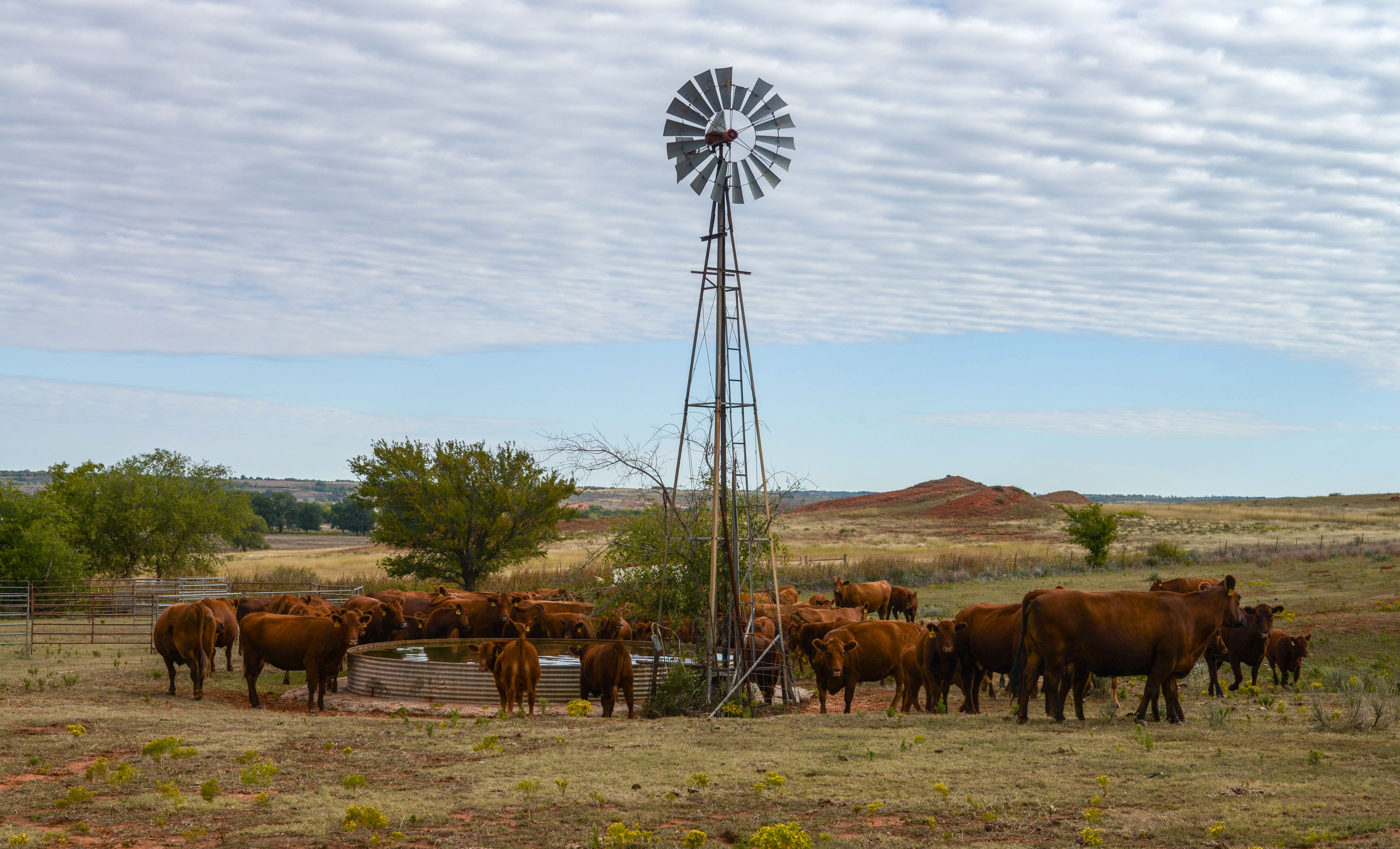Turley Ranch archival photograph 34