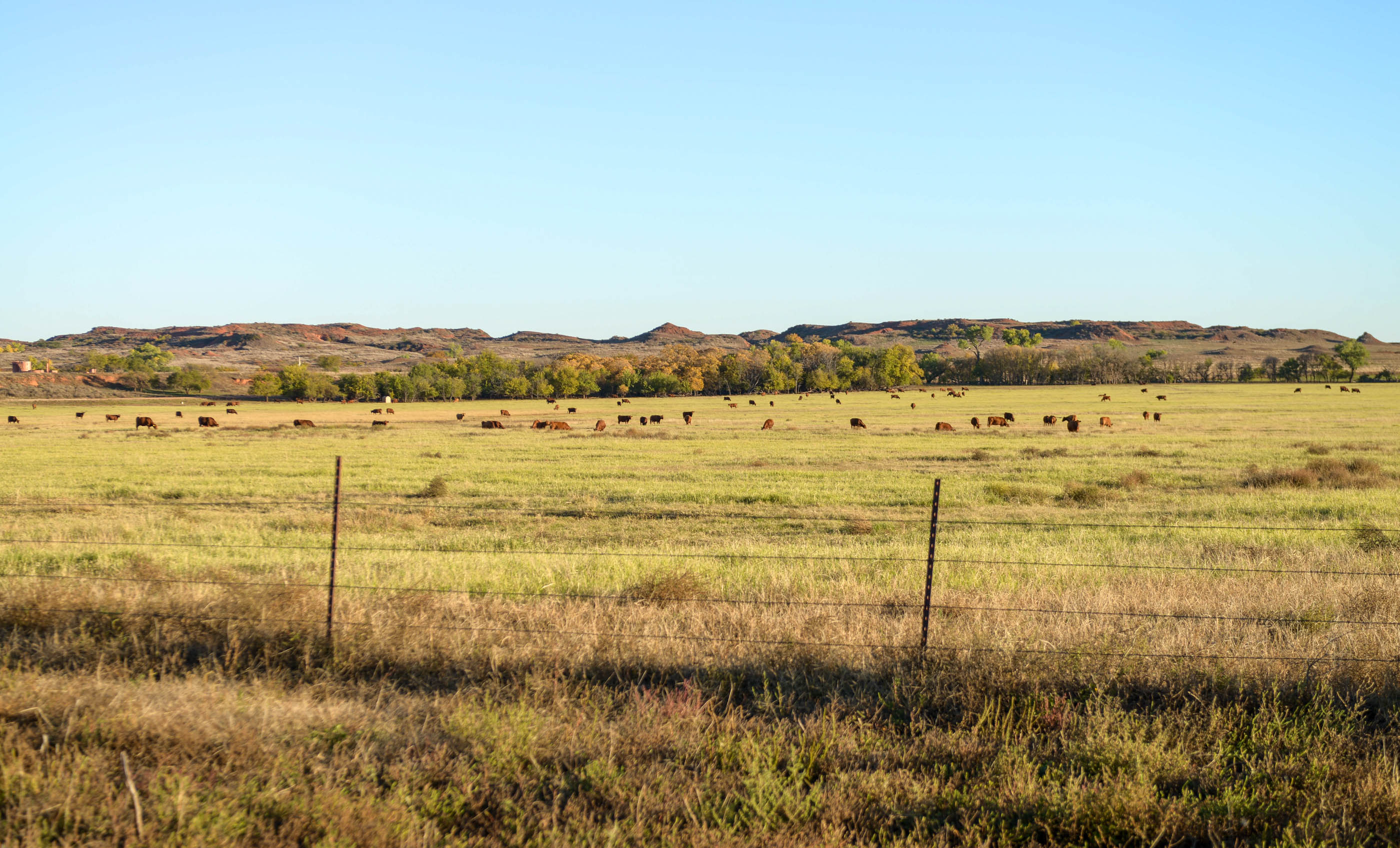 Turley Ranch archival photograph 33