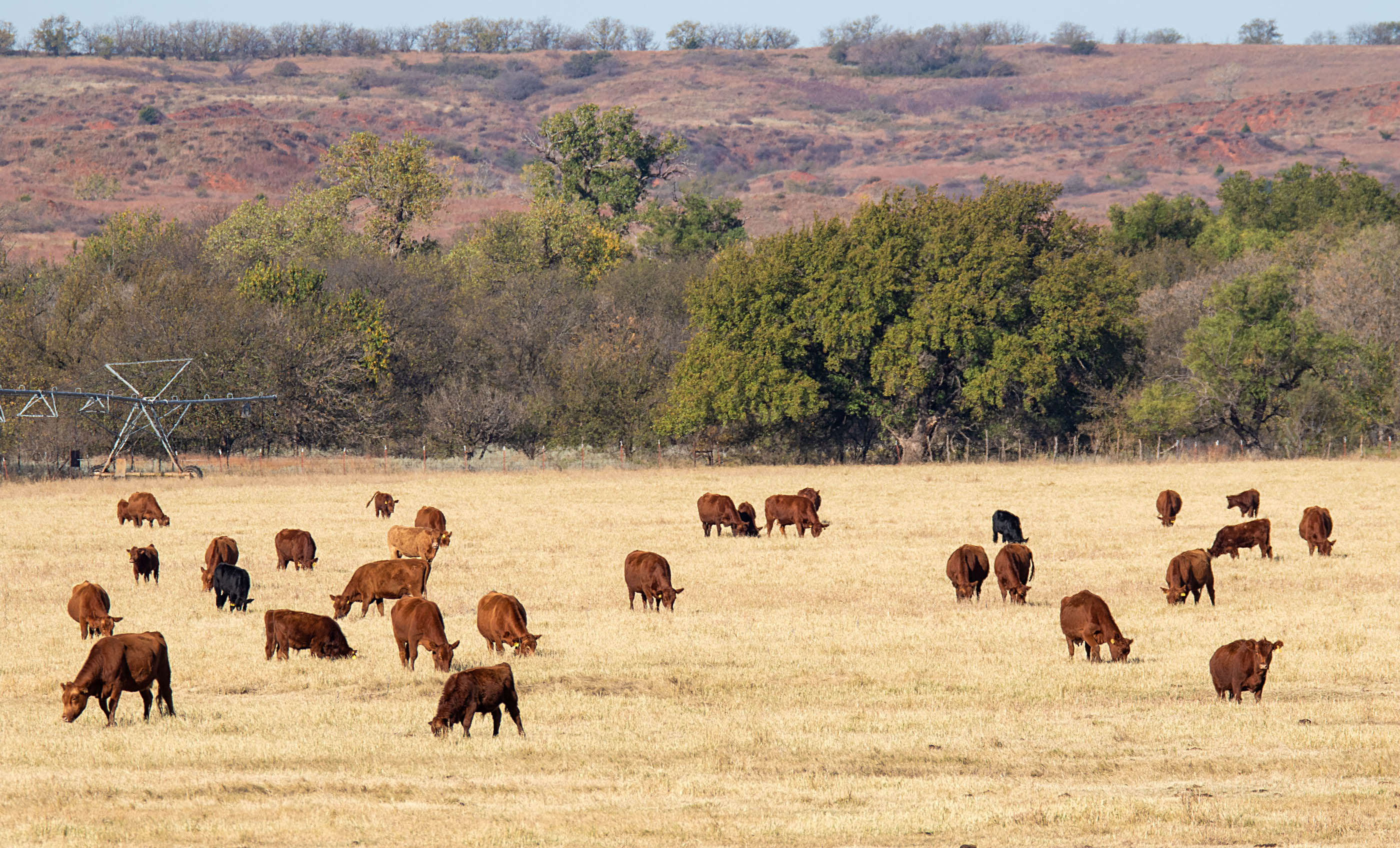 Turley Ranch archival photograph 35
