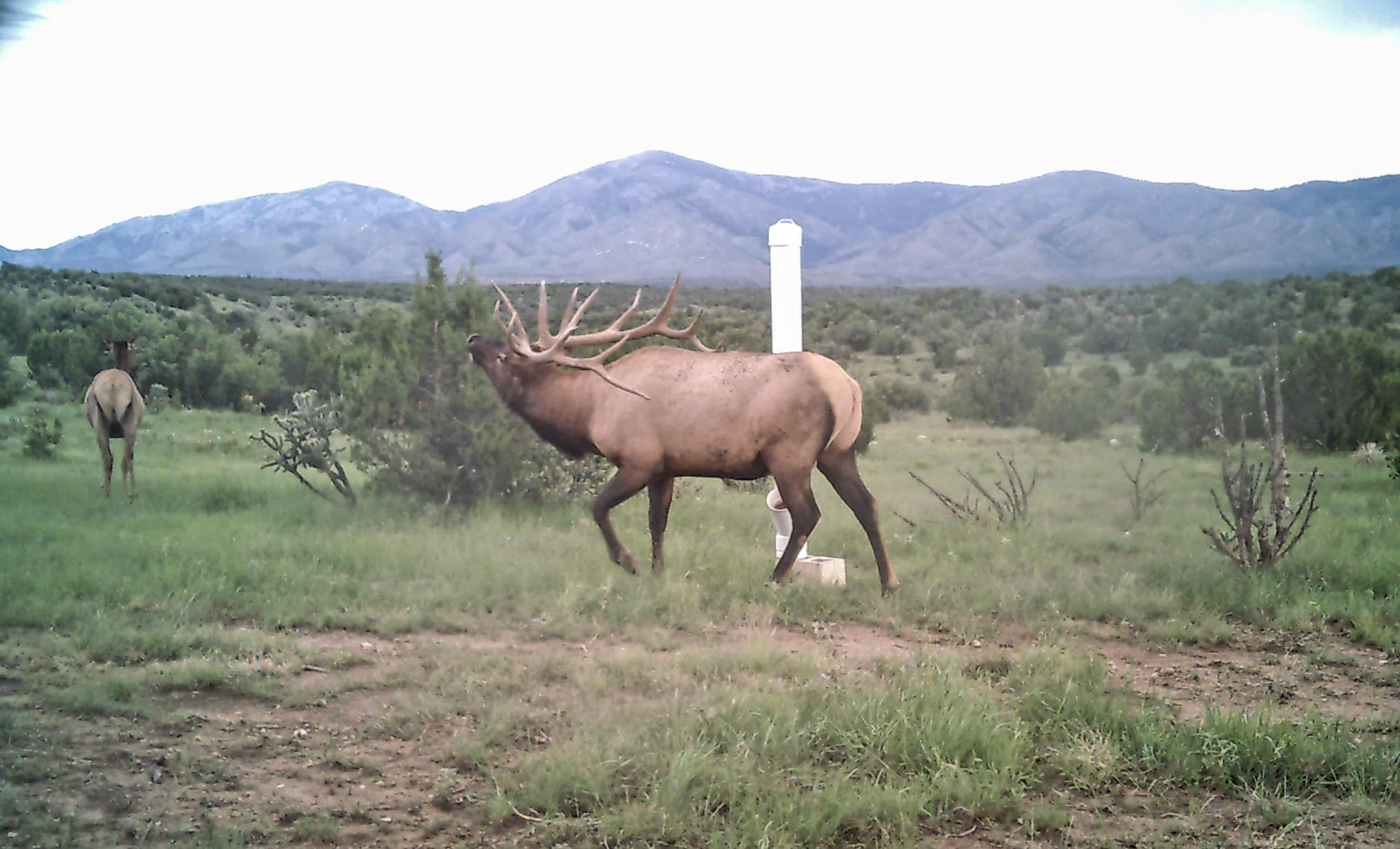 Block Ranch archival photograph 52