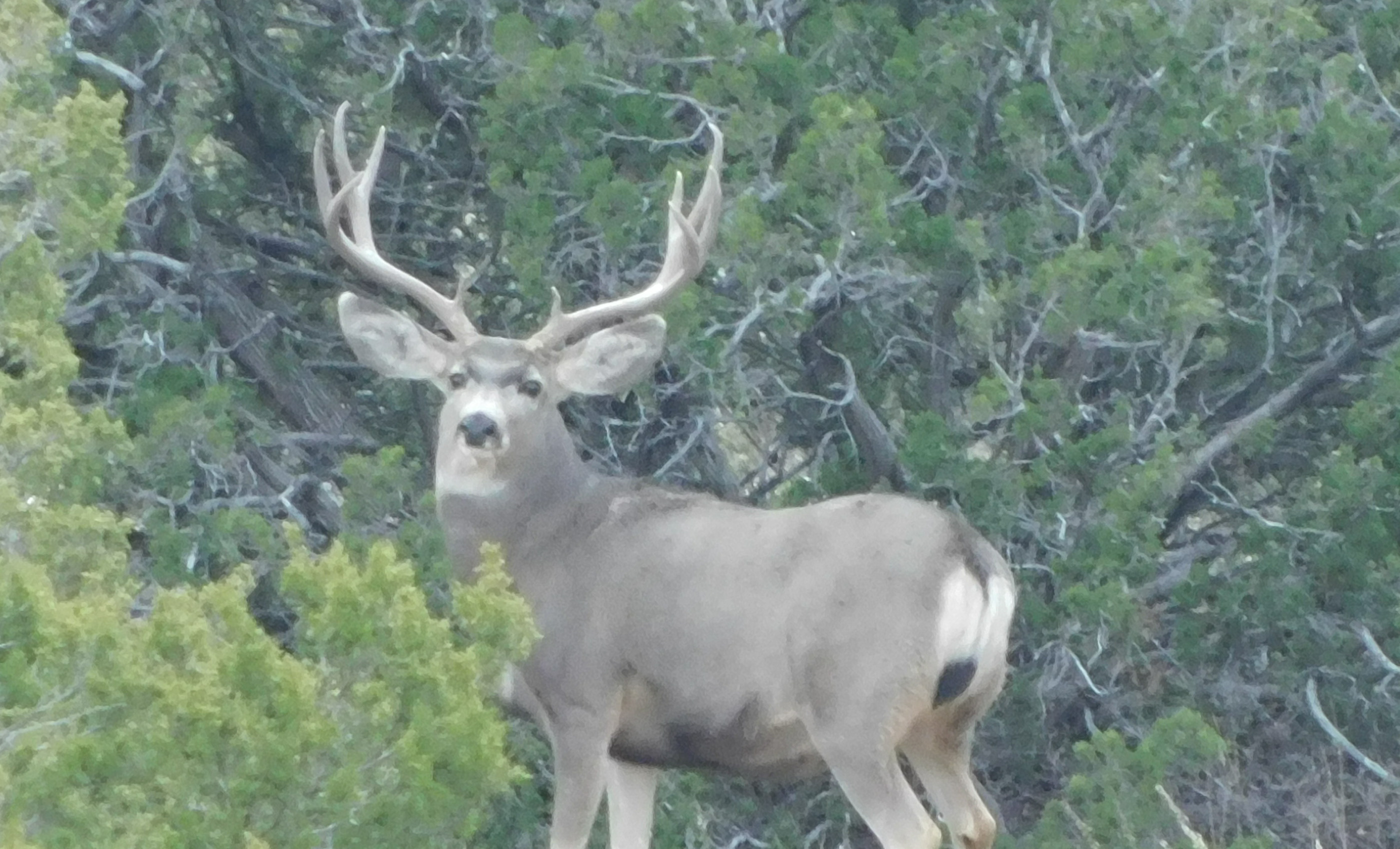 Block Ranch archival photograph 50