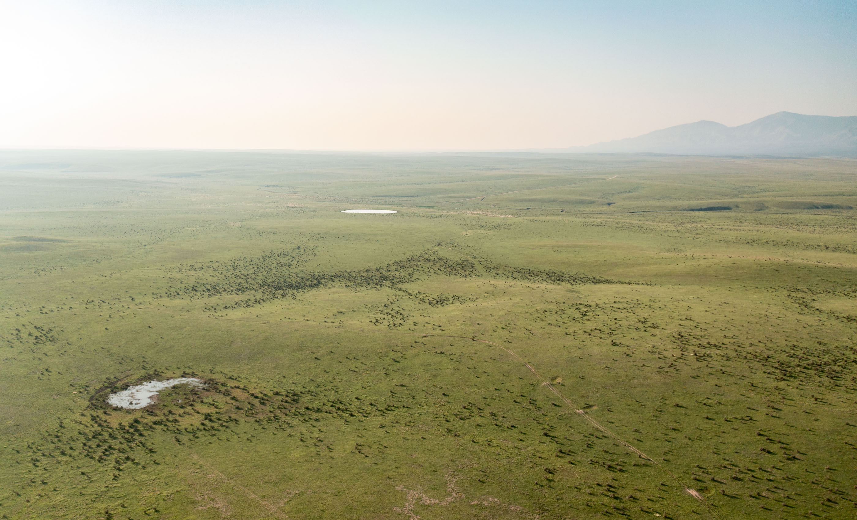 Block Ranch archival photograph 98