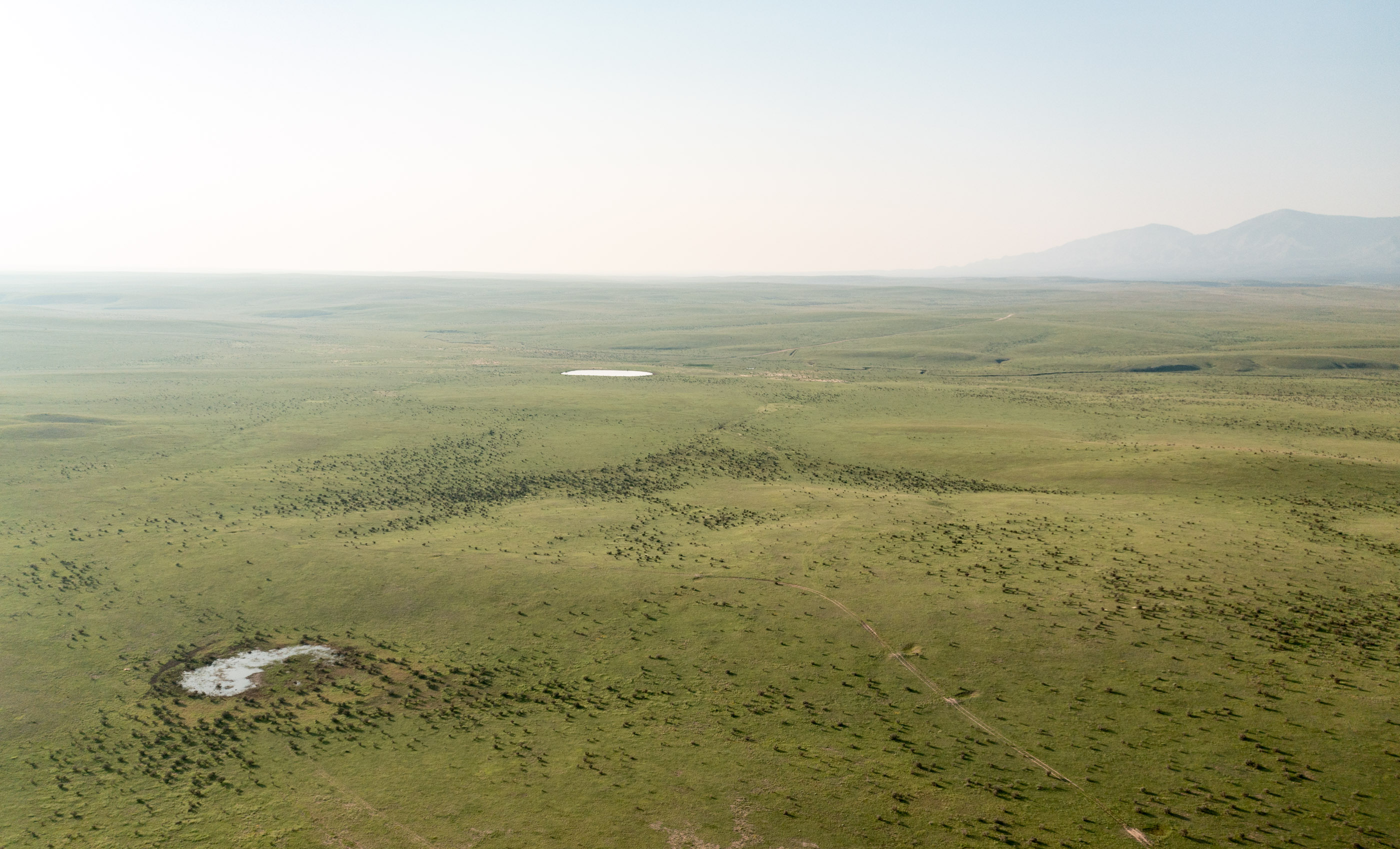 Block Ranch archival photograph 83