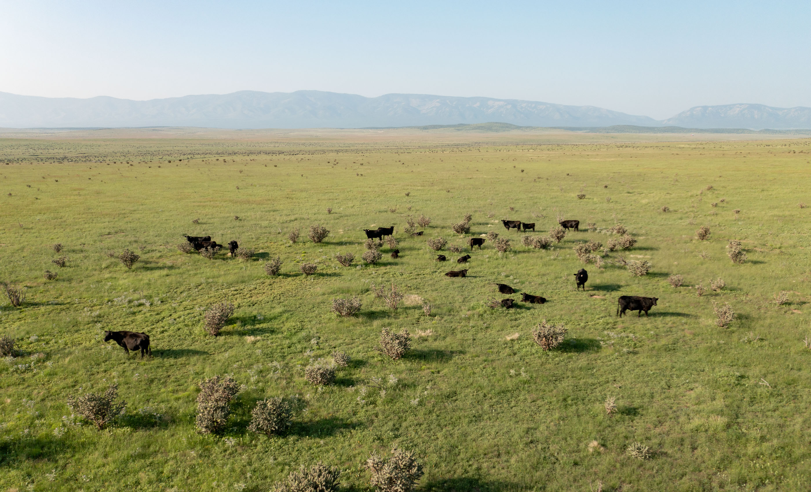 Block Ranch archival photograph 4