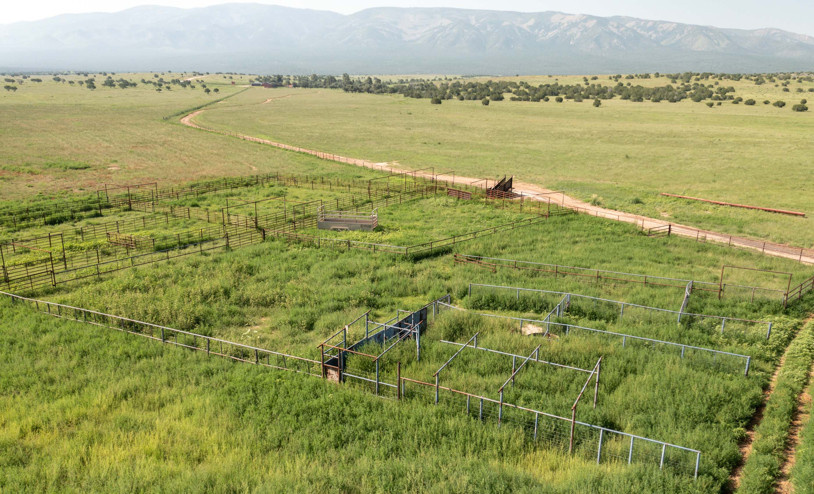 Block Ranch archival photograph 99