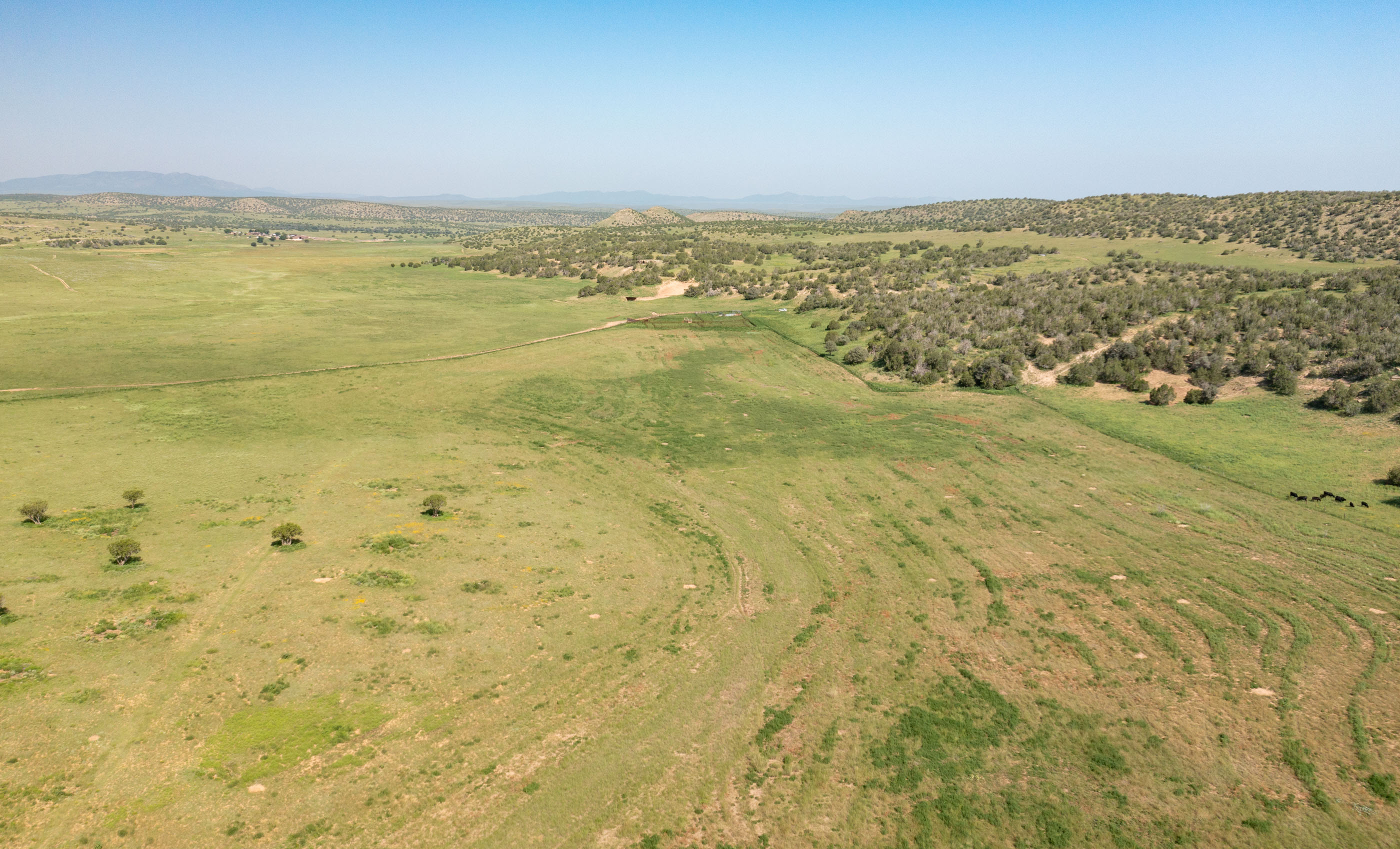 Block Ranch archival photograph 77