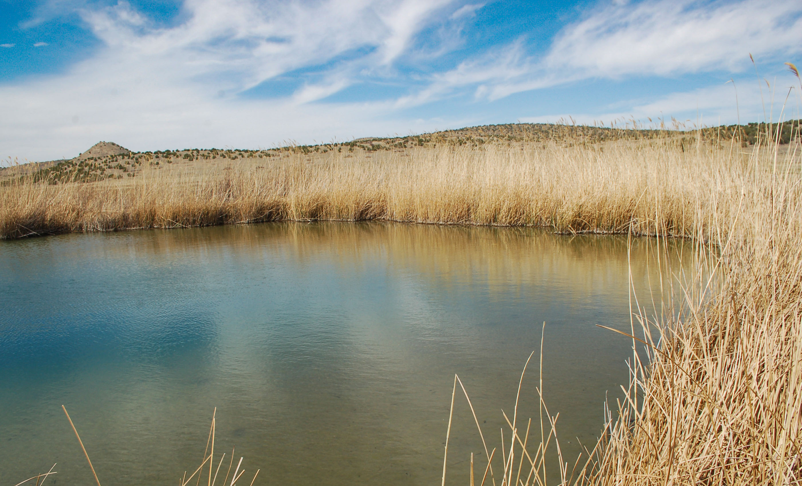 Block Ranch archival photograph 14
