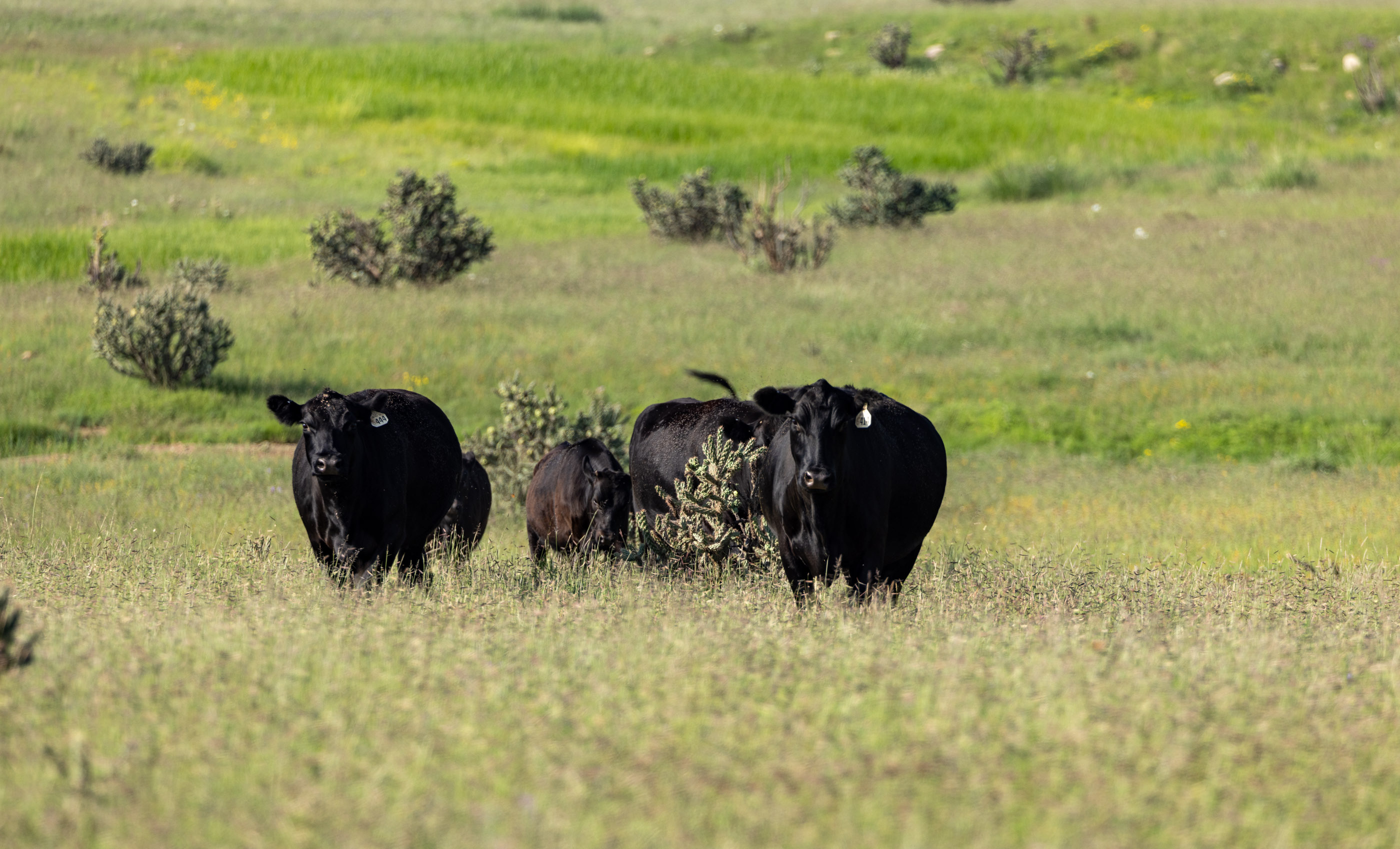 Block Ranch archival photograph 101