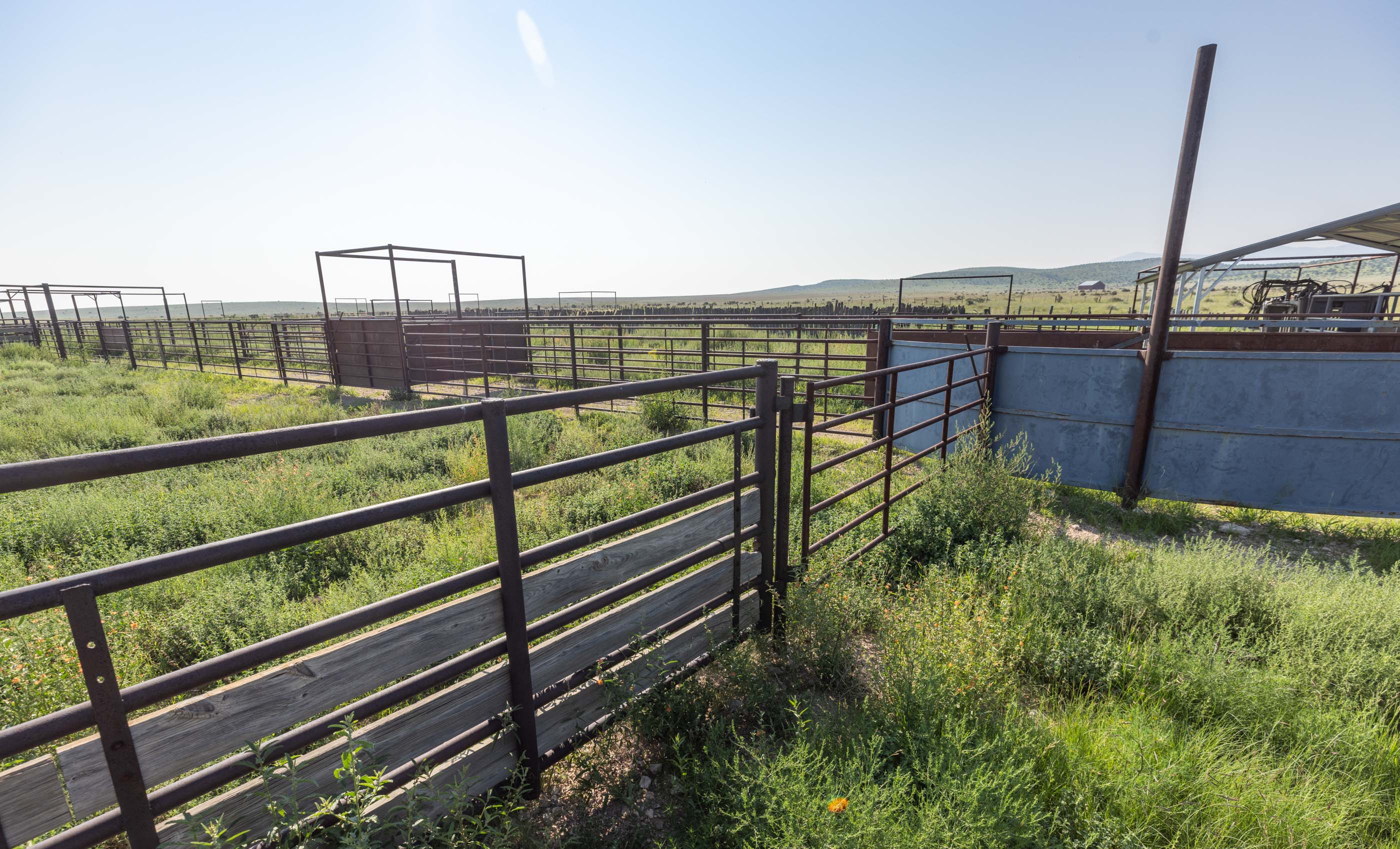 Block Ranch archival photograph 44