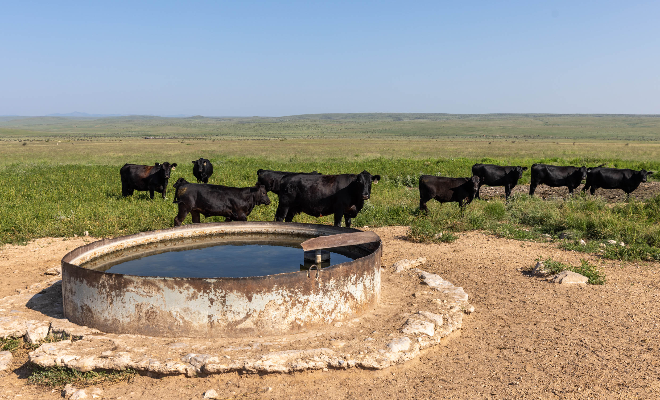 Block Ranch archival photograph 18