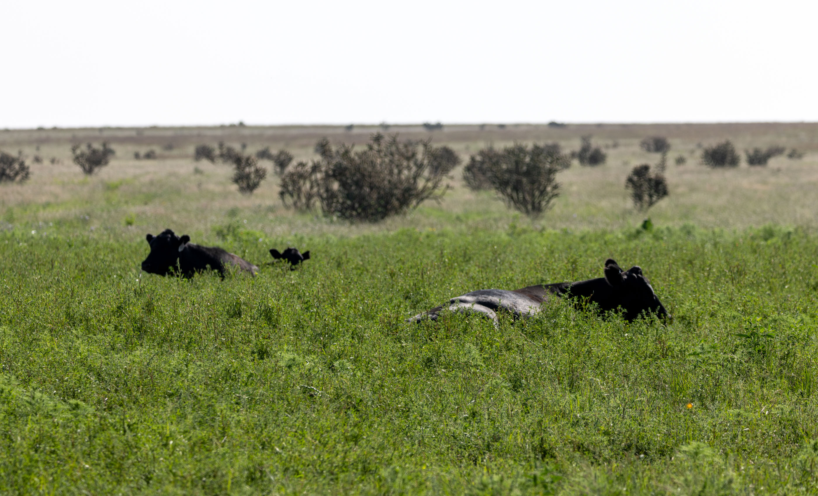 Block Ranch archival photograph 91