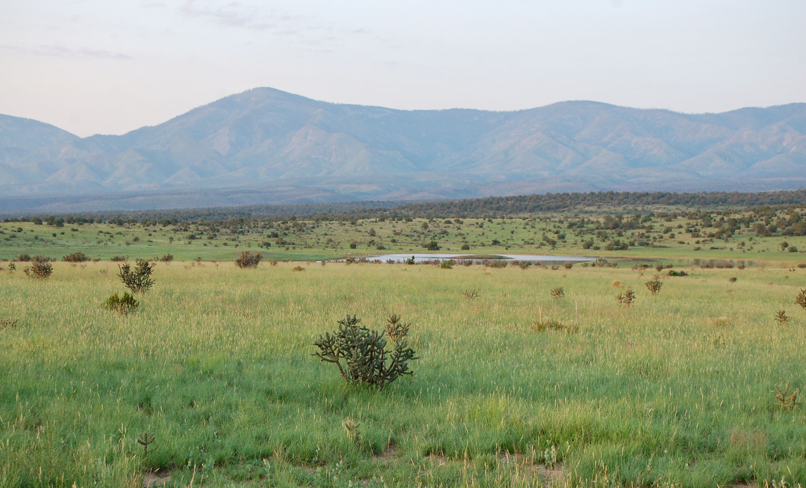 Block Ranch archival photograph 102