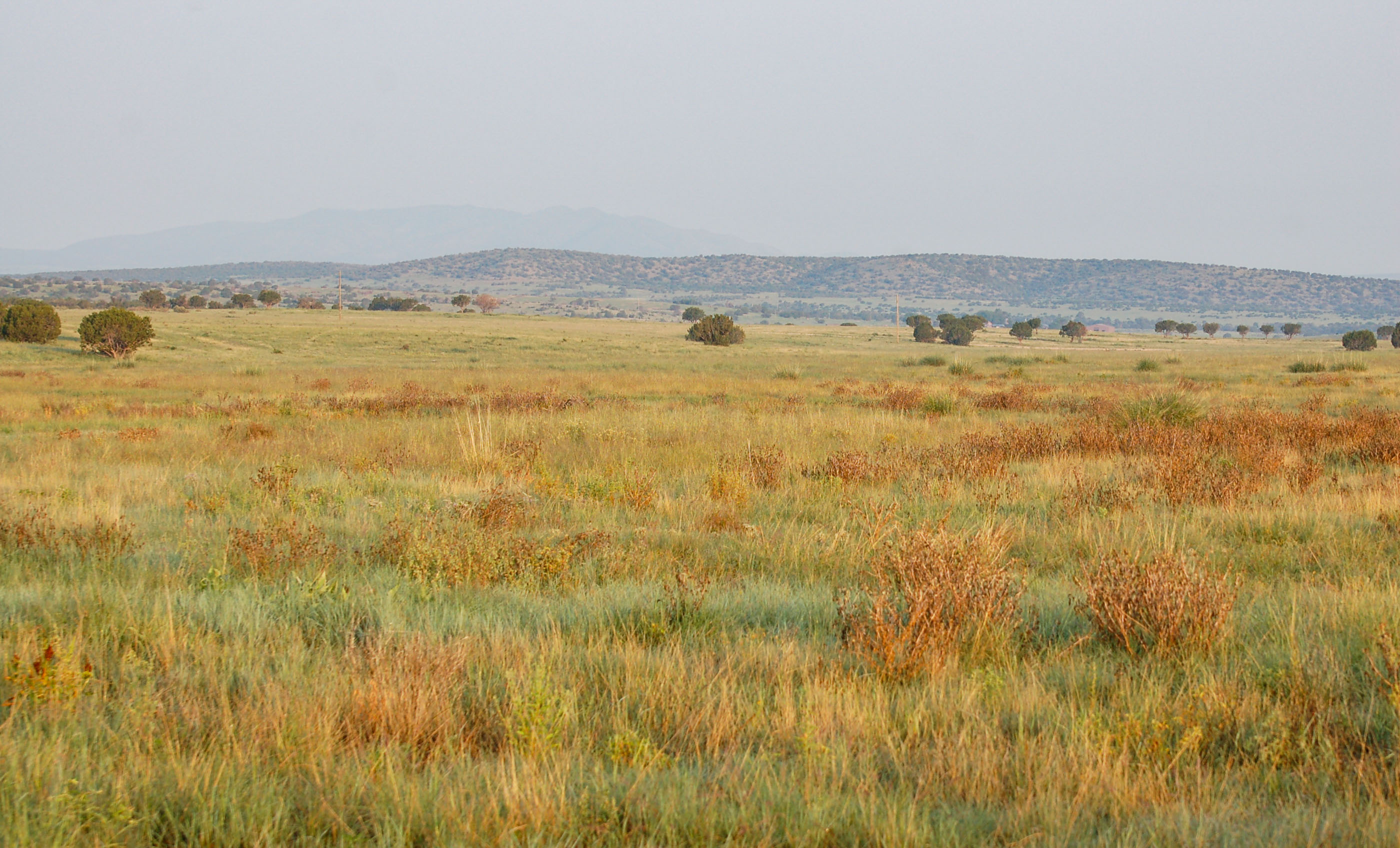 Block Ranch archival photograph 103