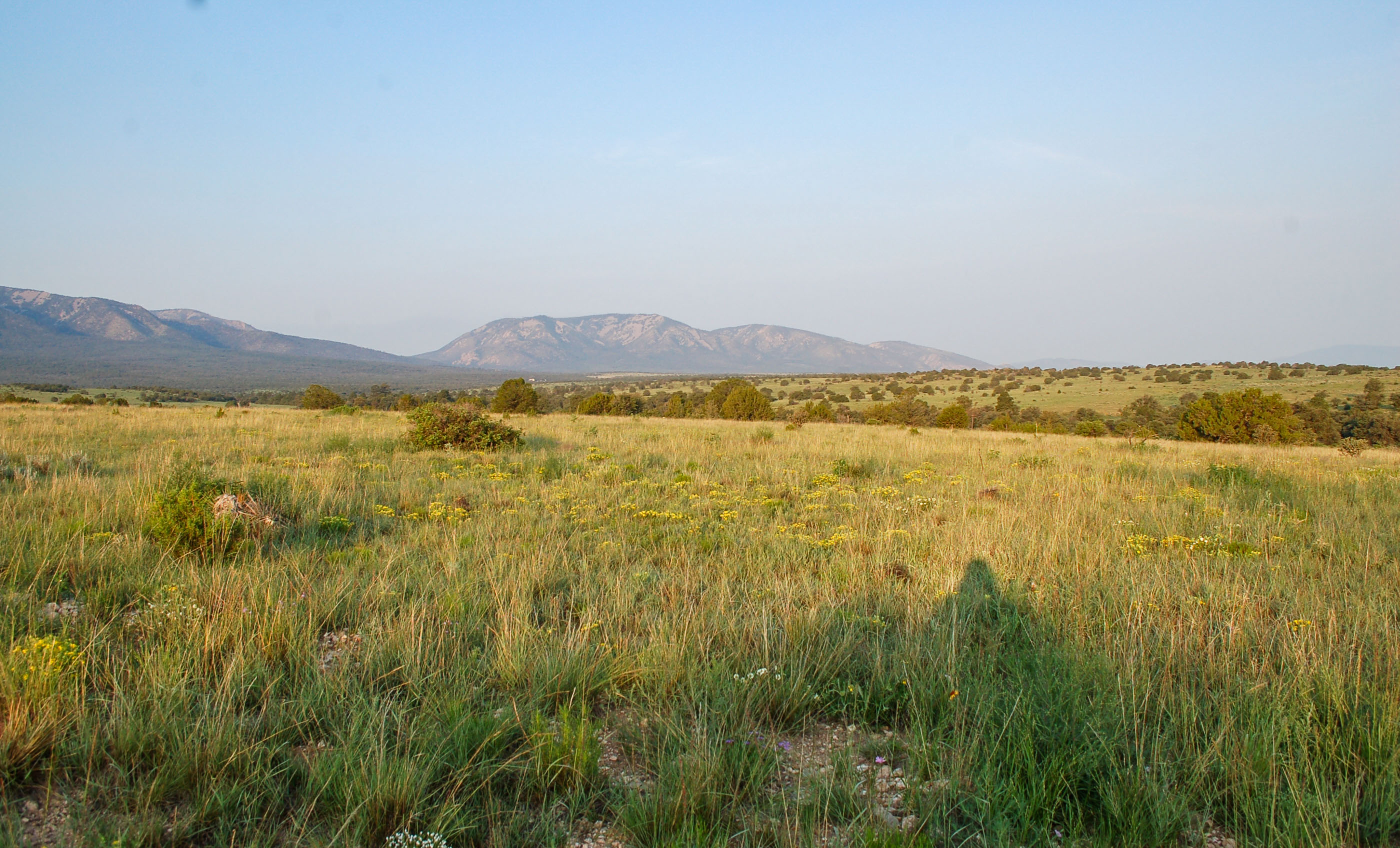 Block Ranch archival photograph 5