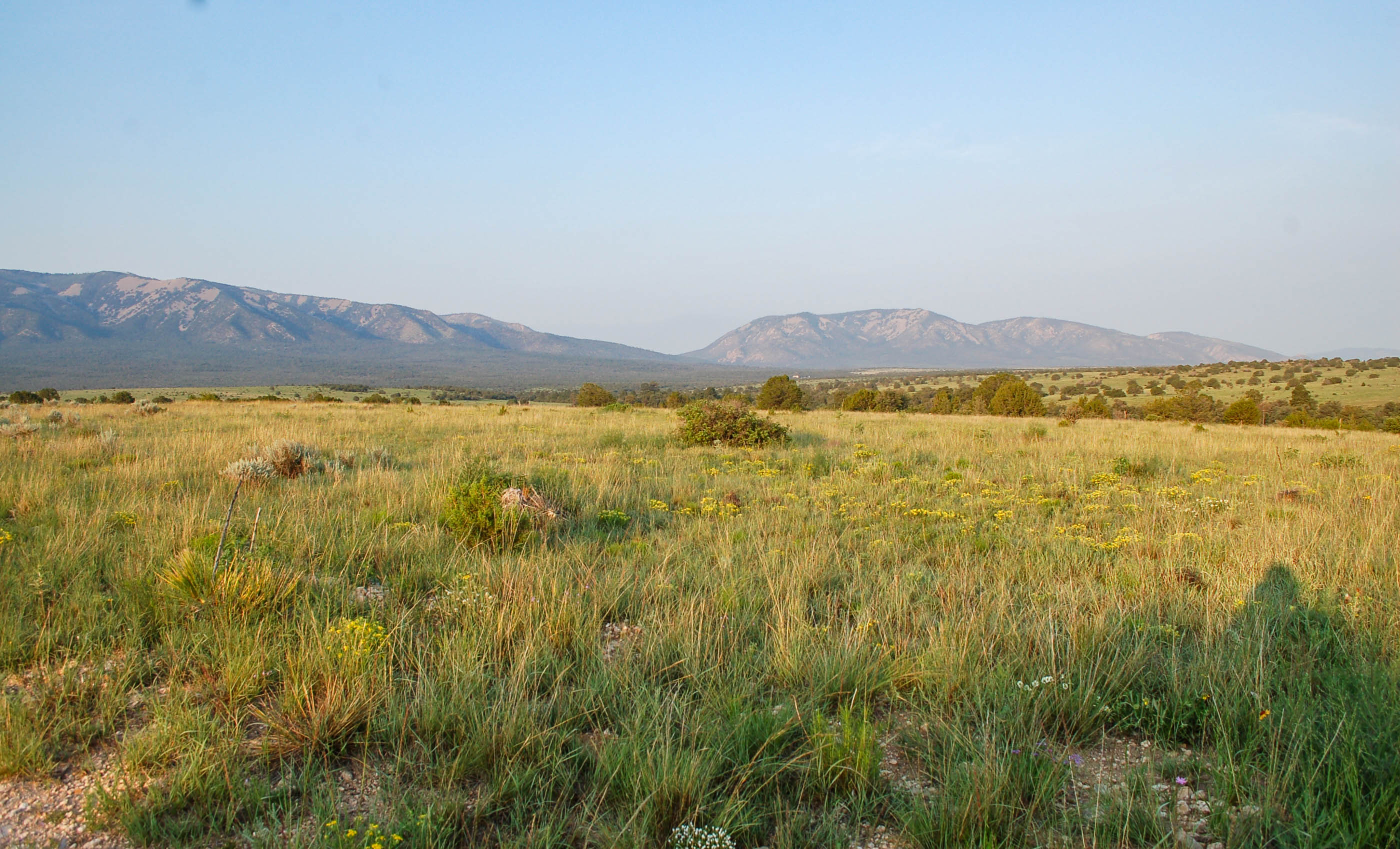 Block Ranch archival photograph 104