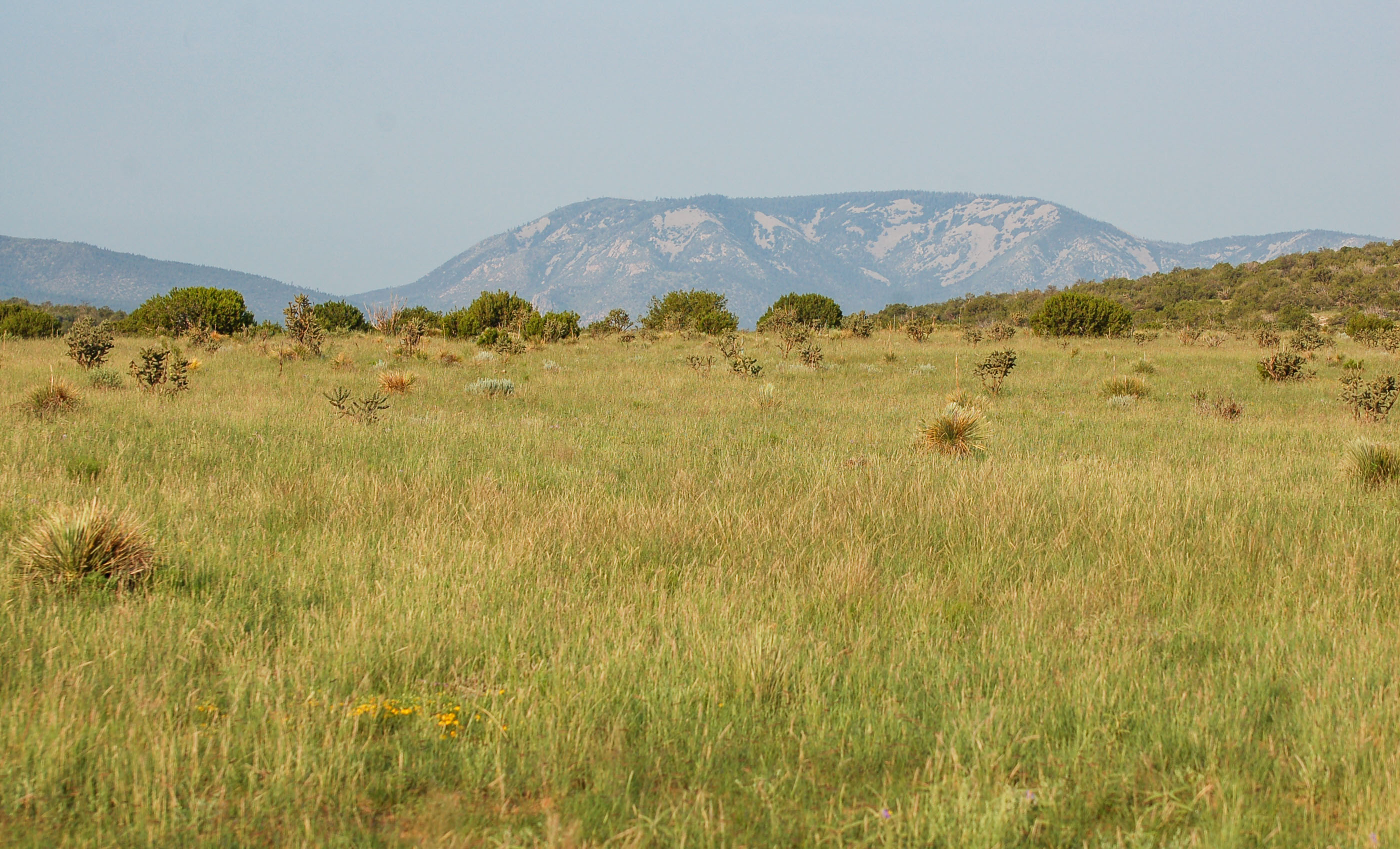 Block Ranch archival photograph 79