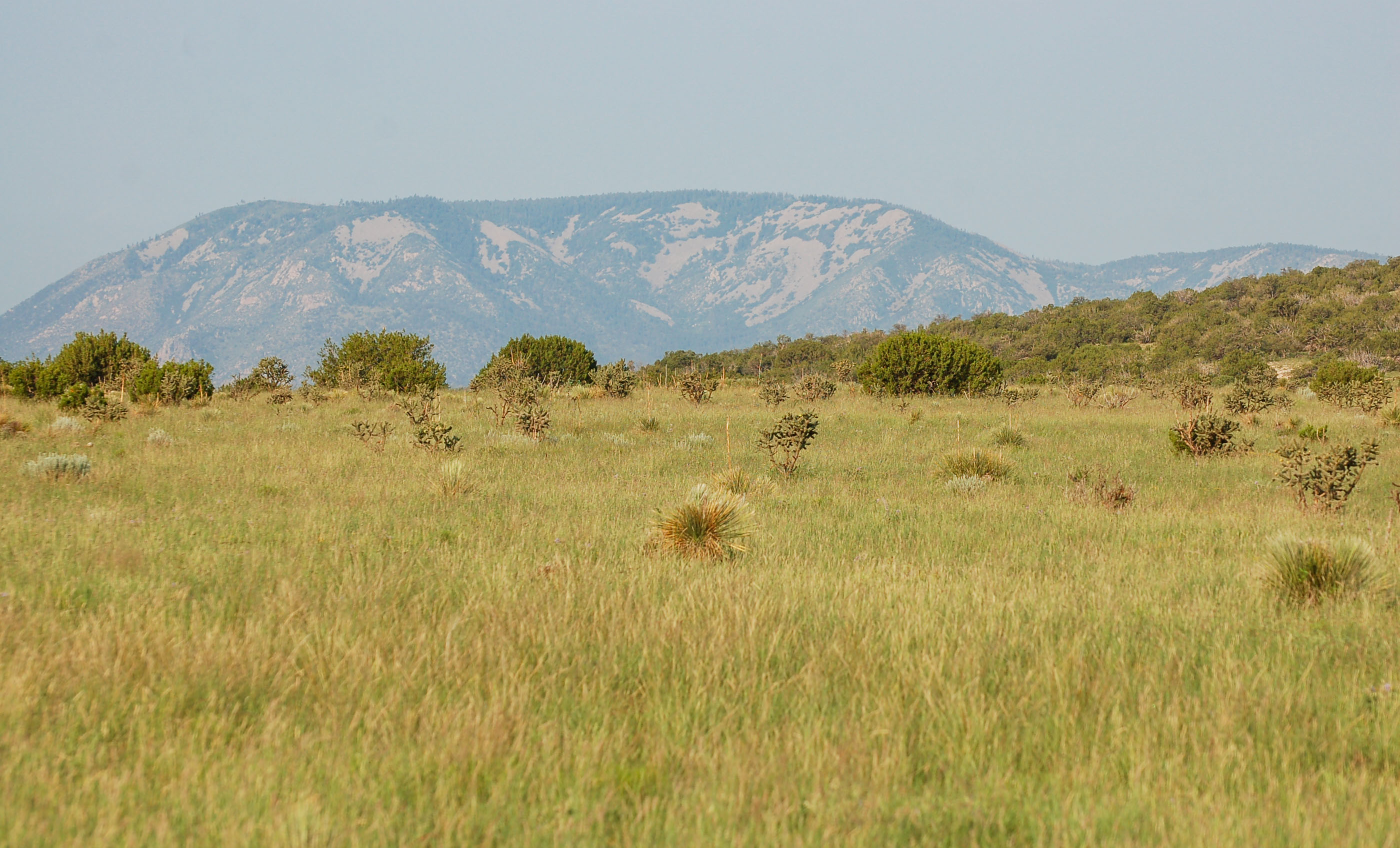 Block Ranch archival photograph 82
