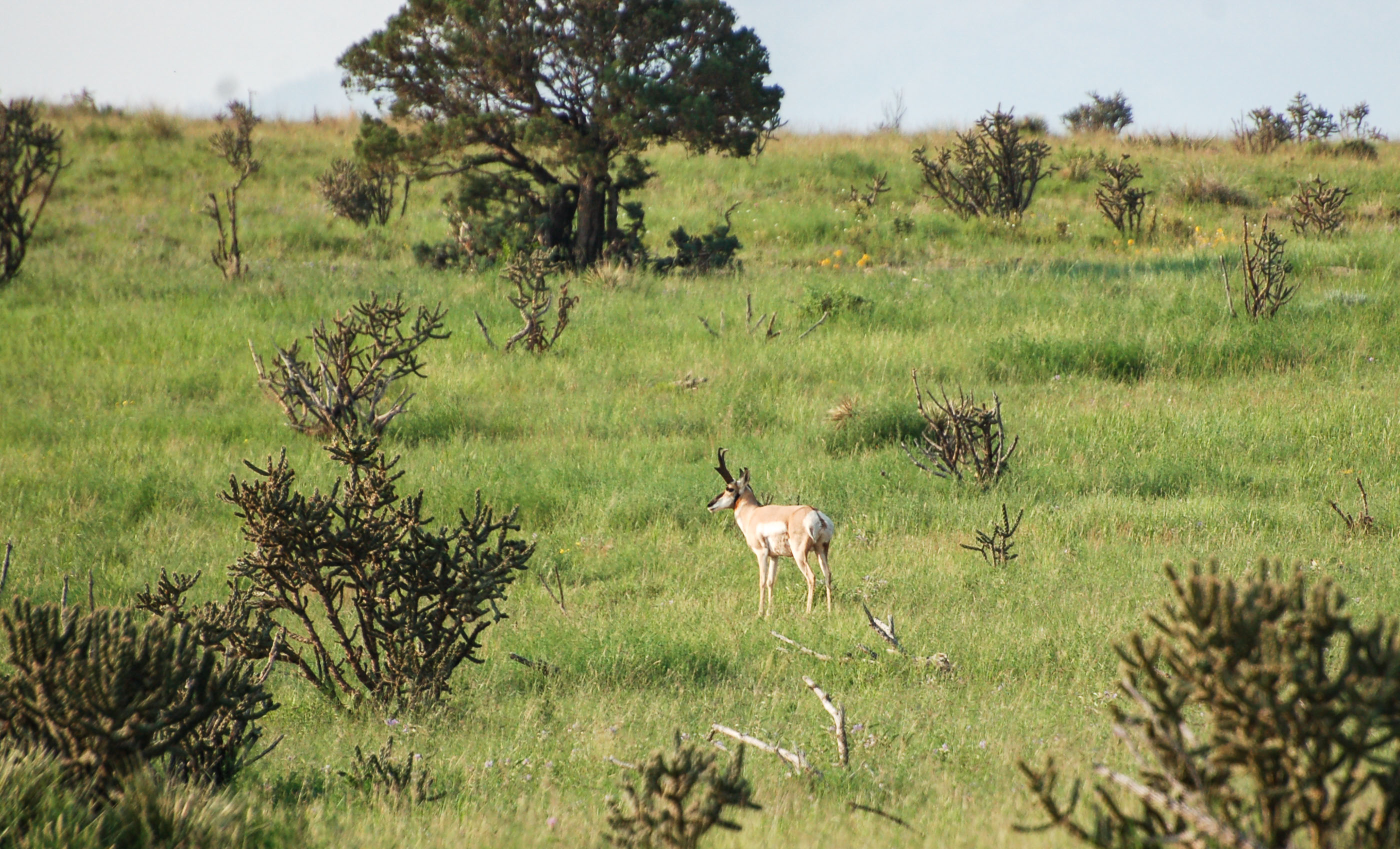 Block Ranch archival photograph 48