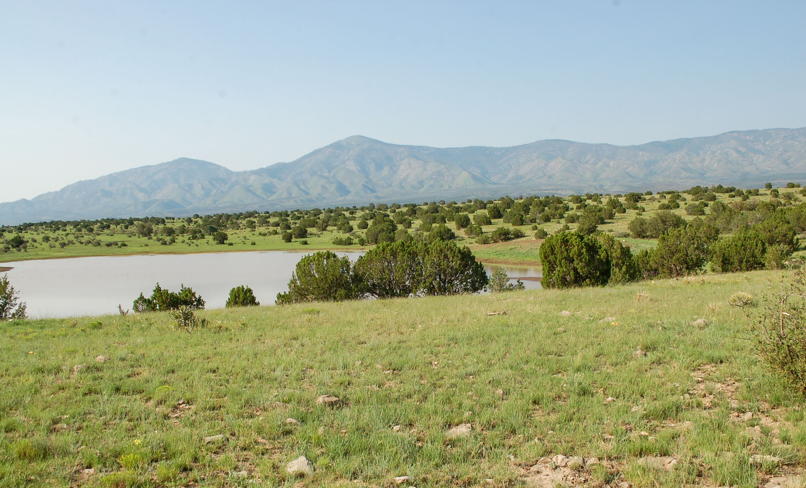 Block Ranch archival photograph 88