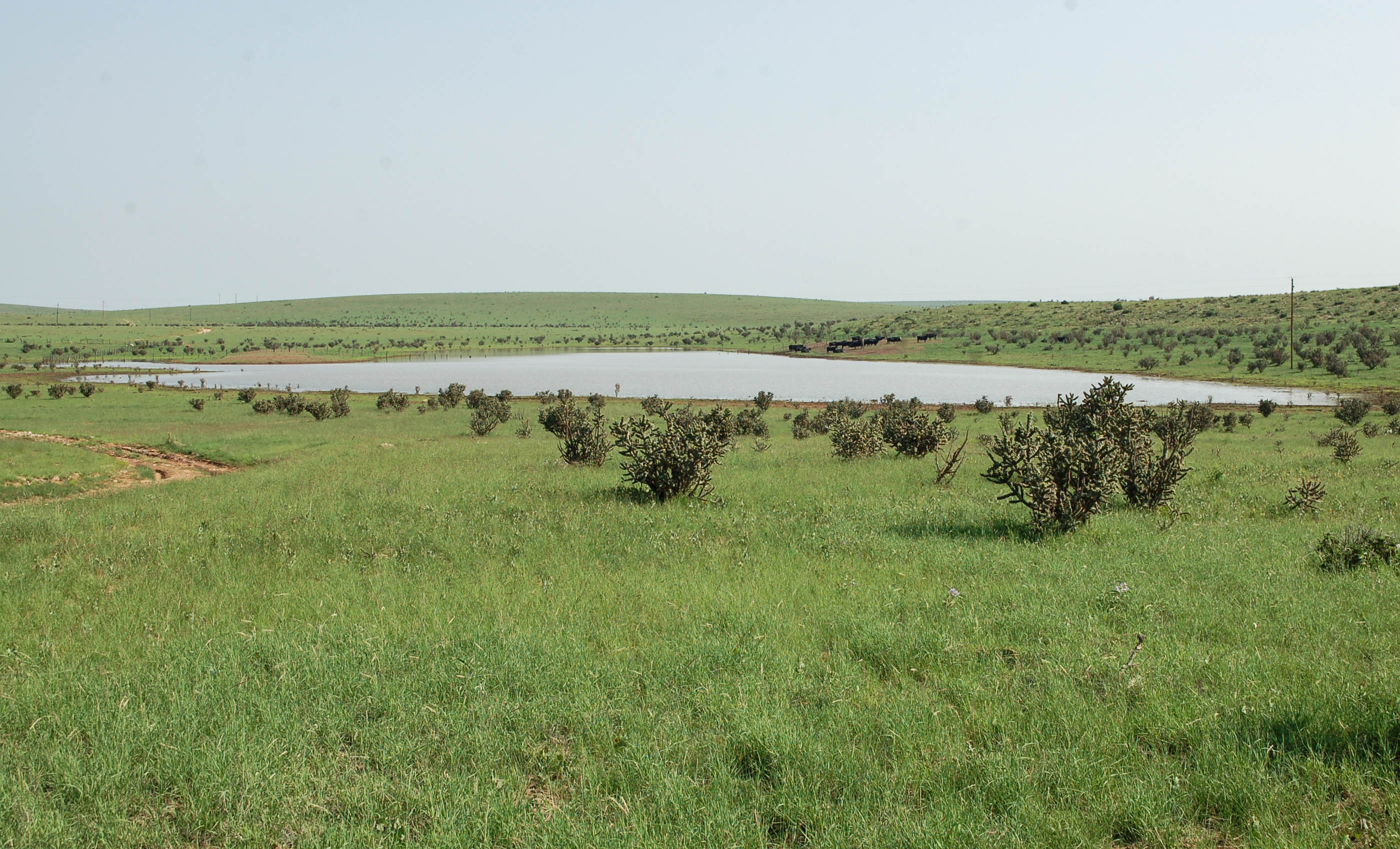 Block Ranch archival photograph 90