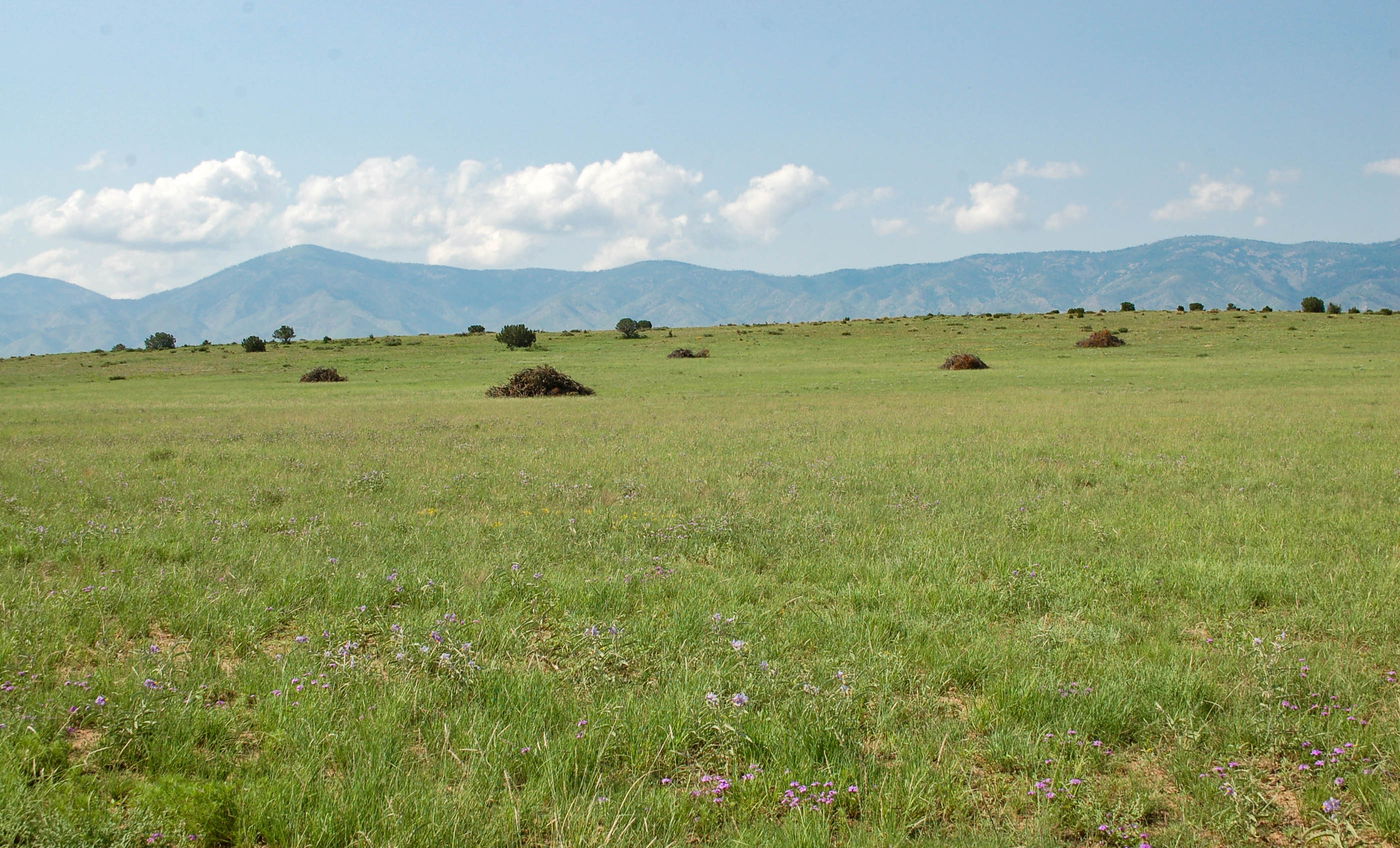 Block Ranch archival photograph 106