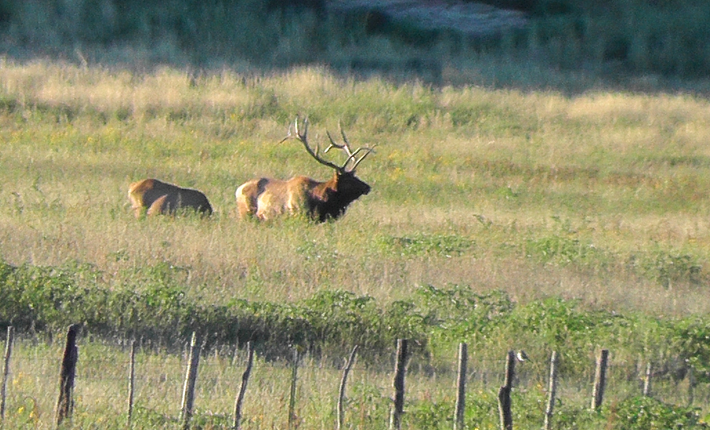 Block Ranch archival photograph 51