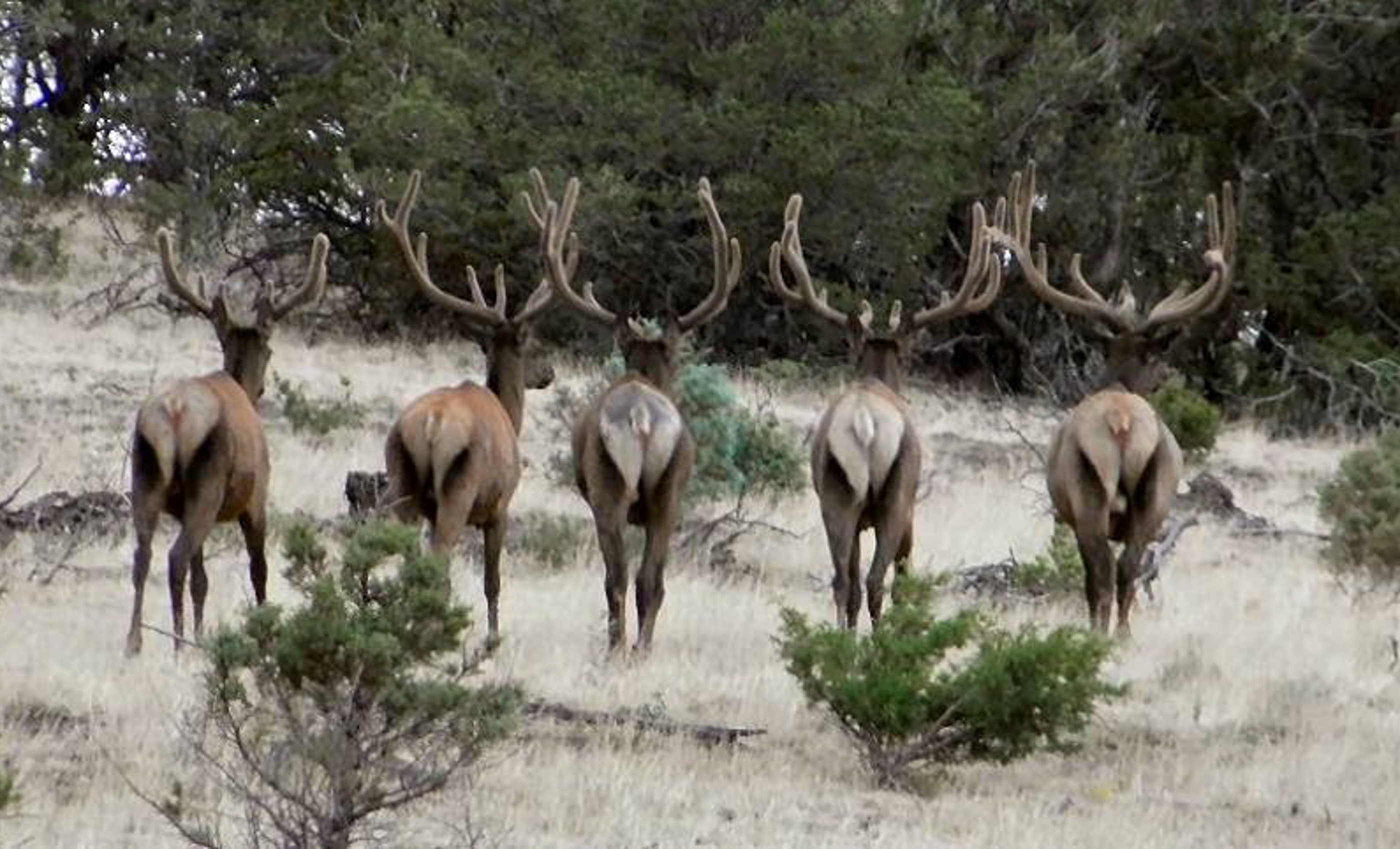 Block Ranch archival photograph 54