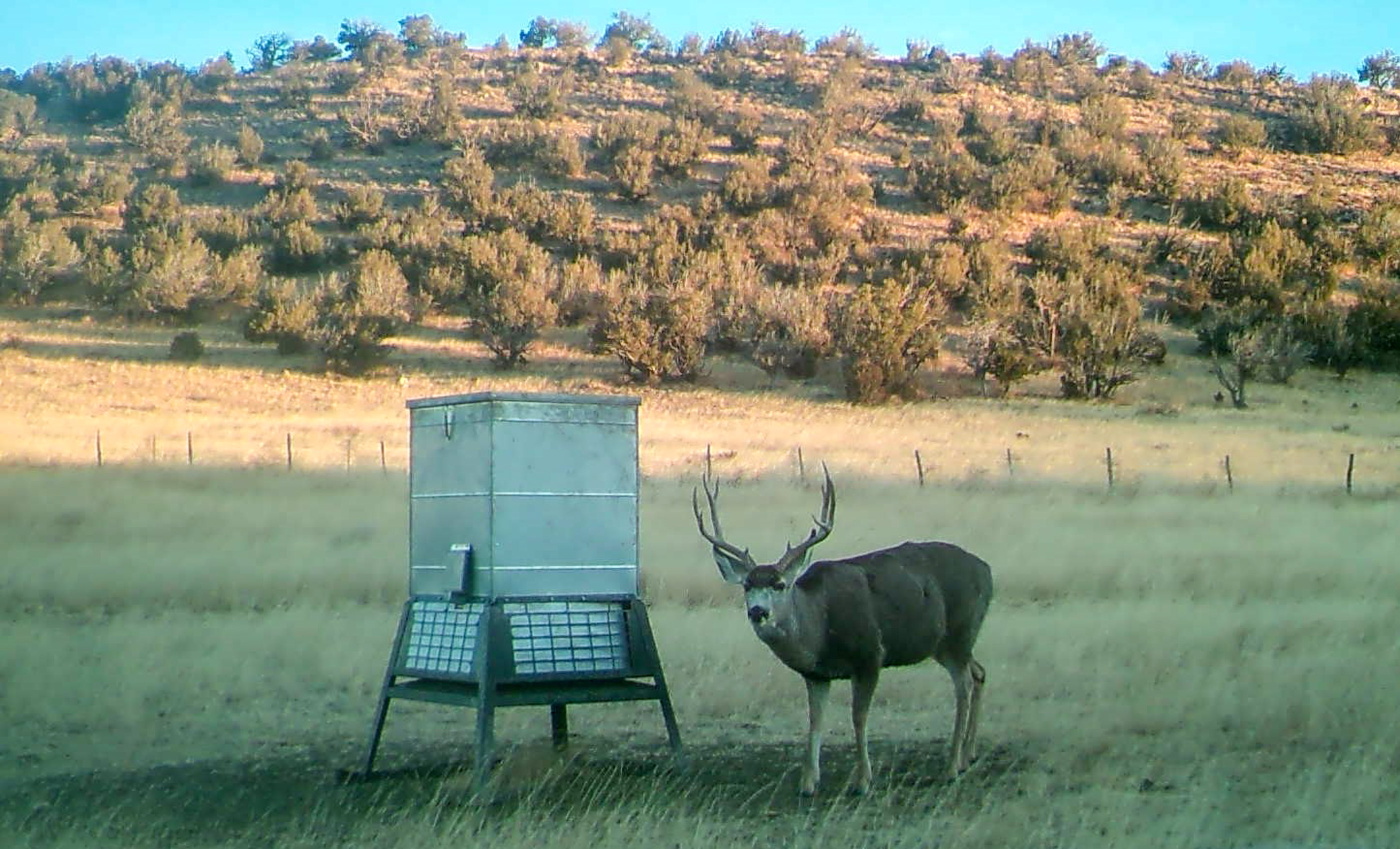 Block Ranch archival photograph 68