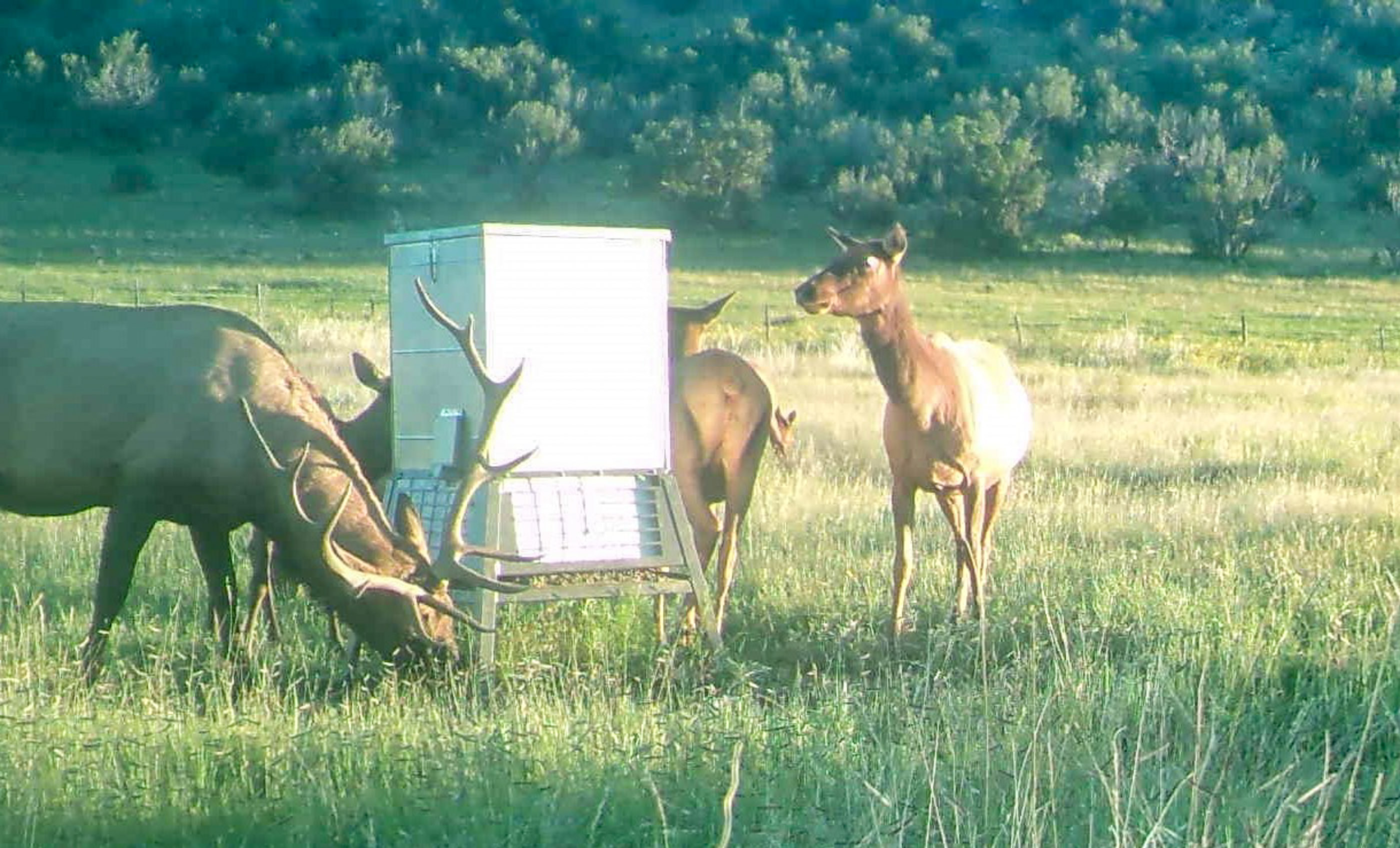 Block Ranch archival photograph 69