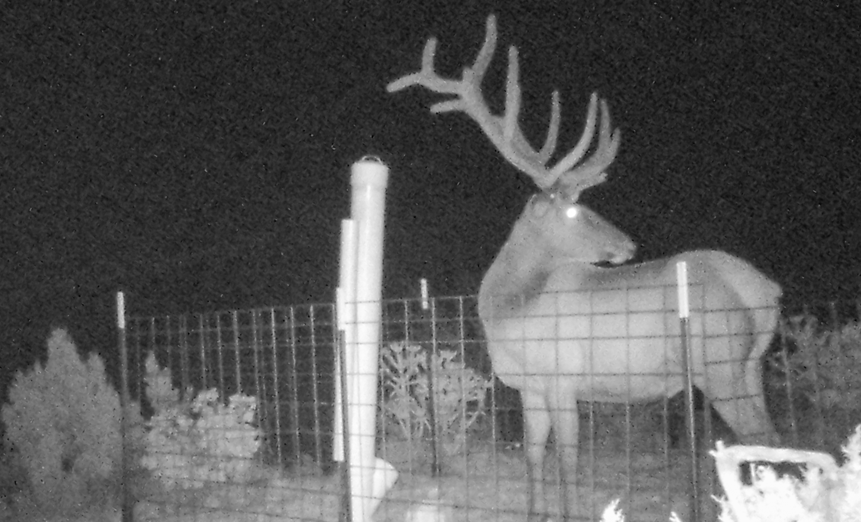 Block Ranch archival photograph 71
