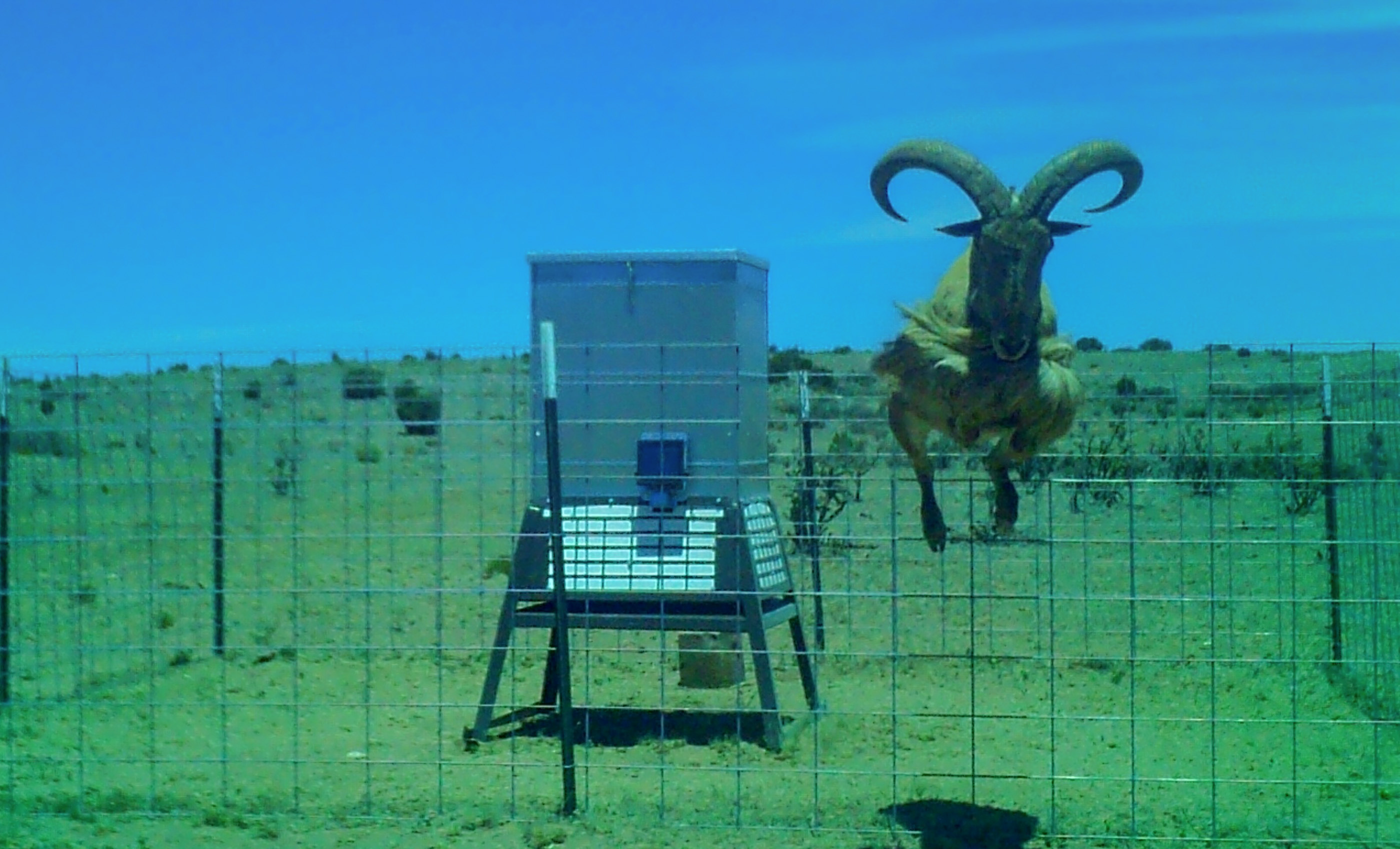 Block Ranch archival photograph 62