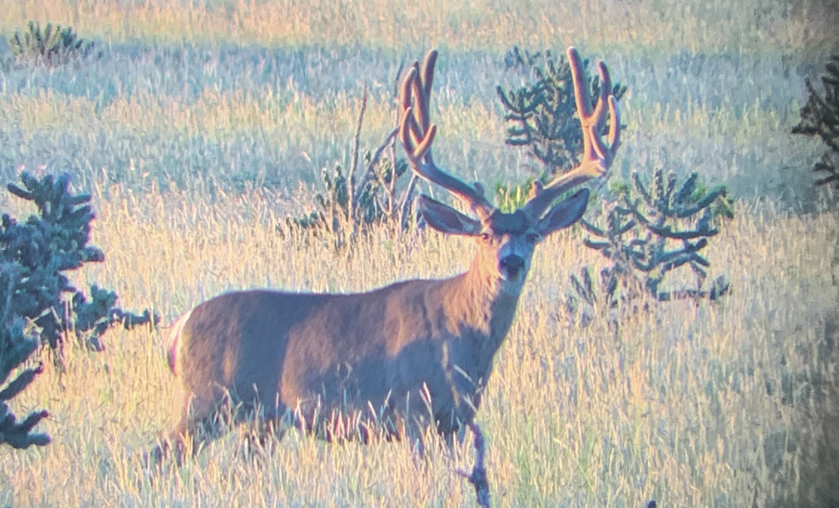 Block Ranch archival photograph 70