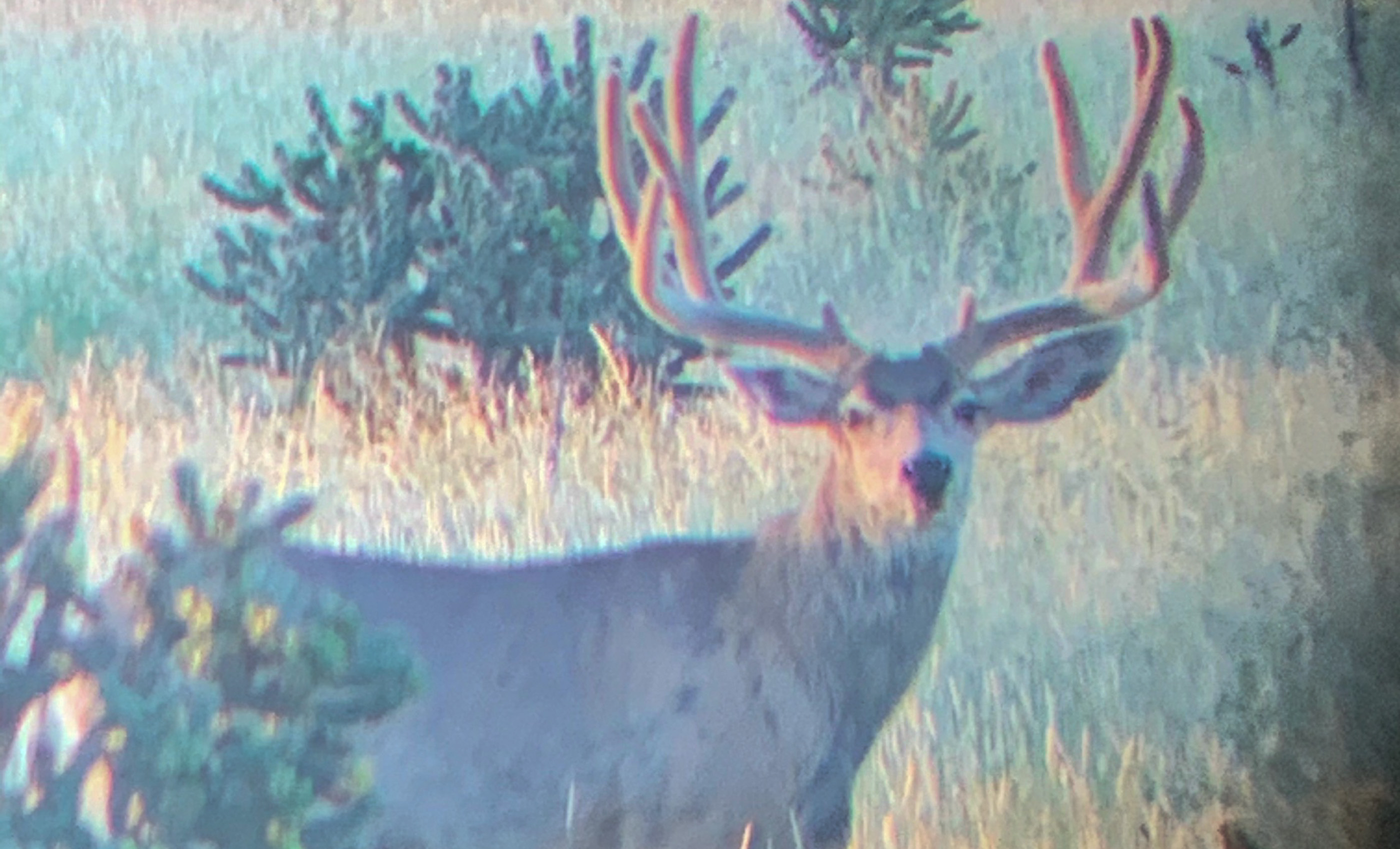 Block Ranch archival photograph 60