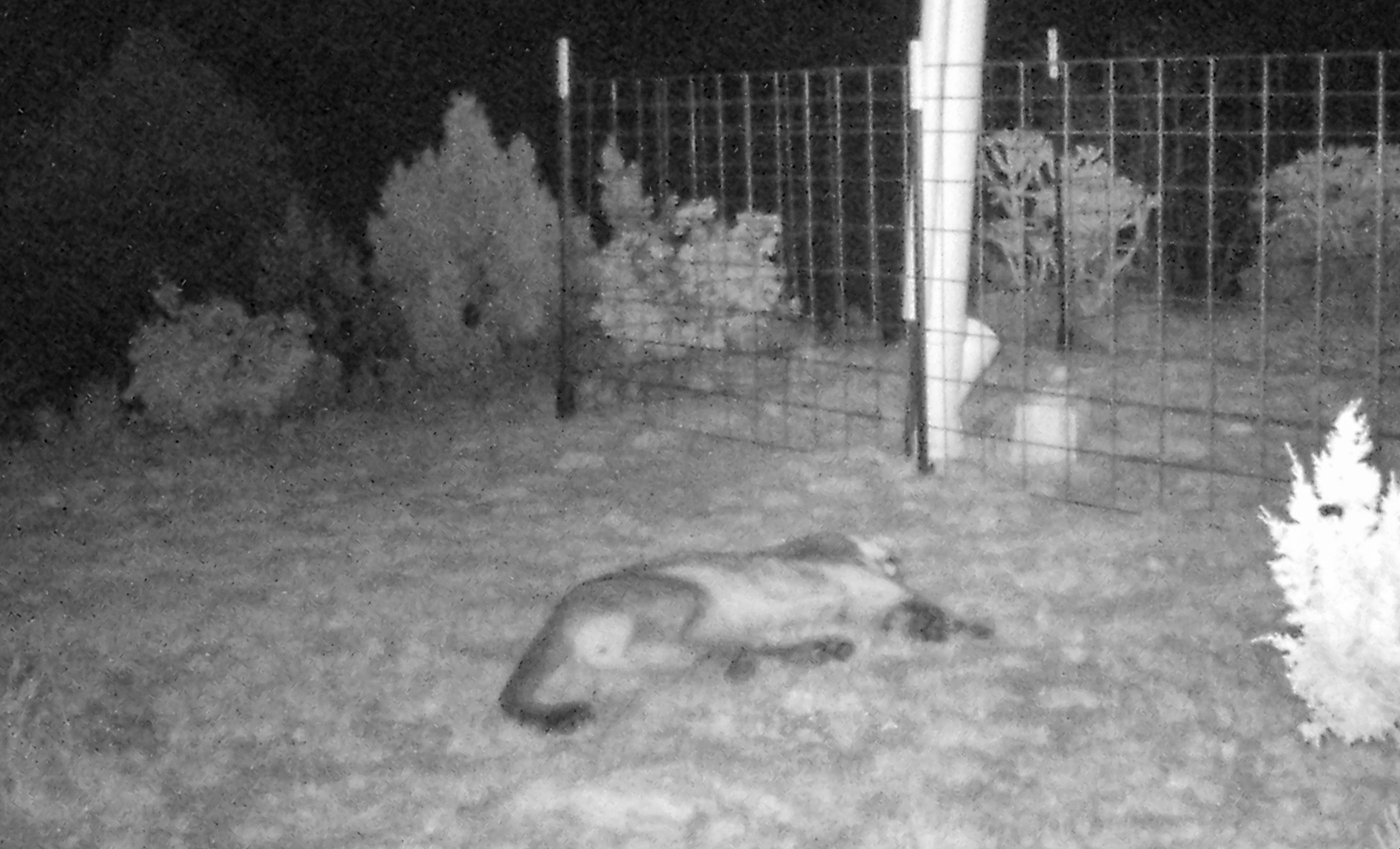 Block Ranch archival photograph 72