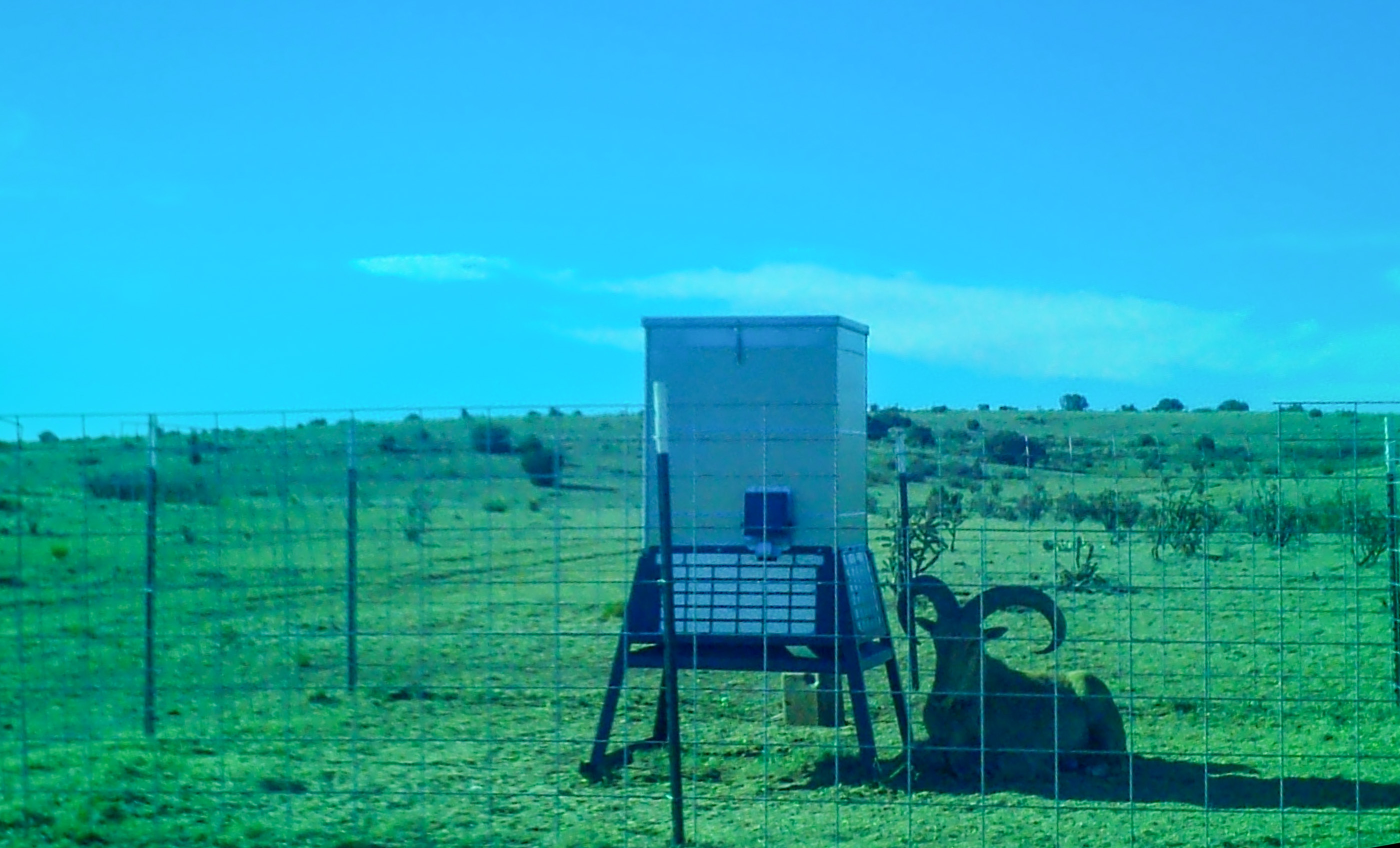 Block Ranch archival photograph 58