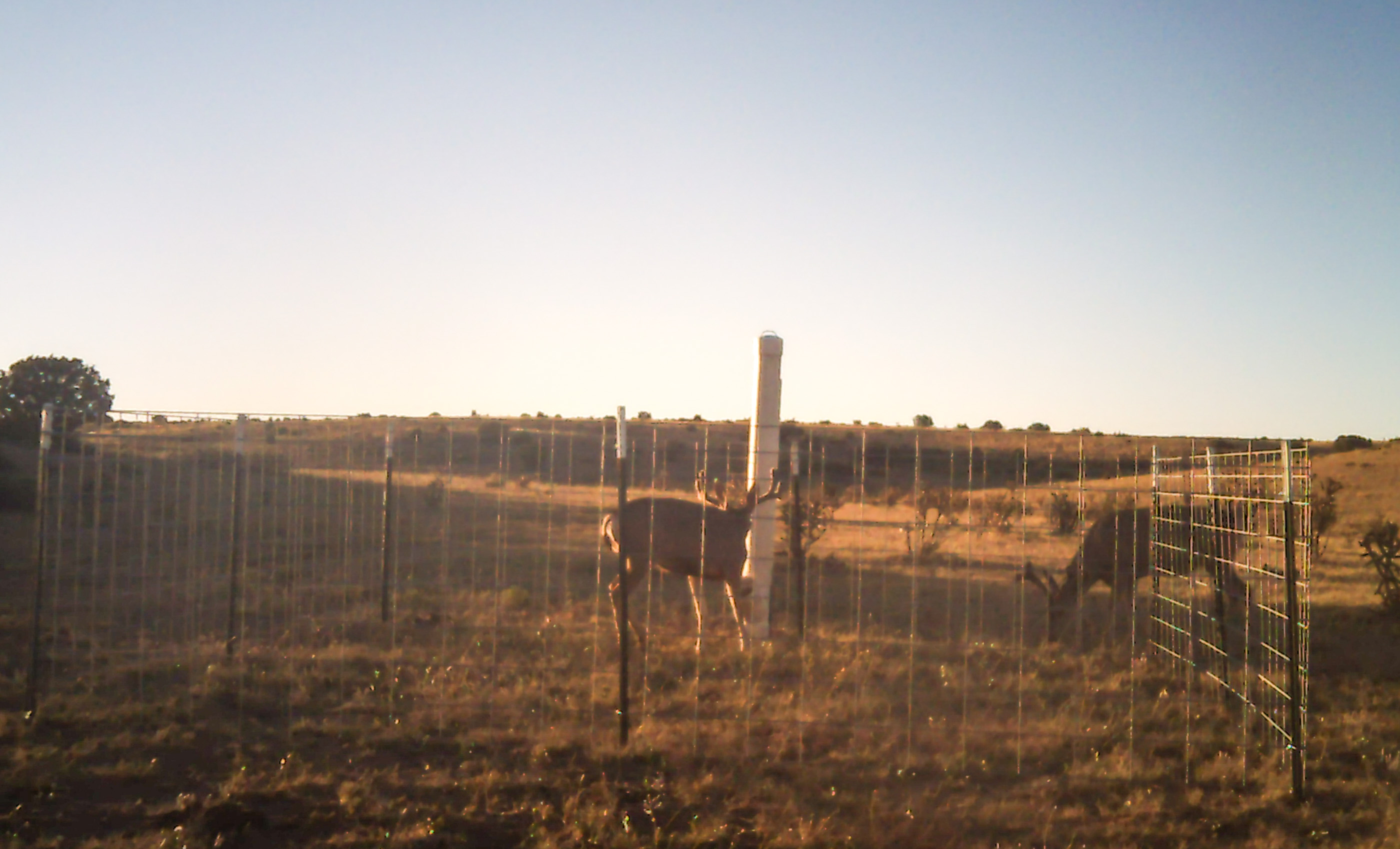 Block Ranch archival photograph 73