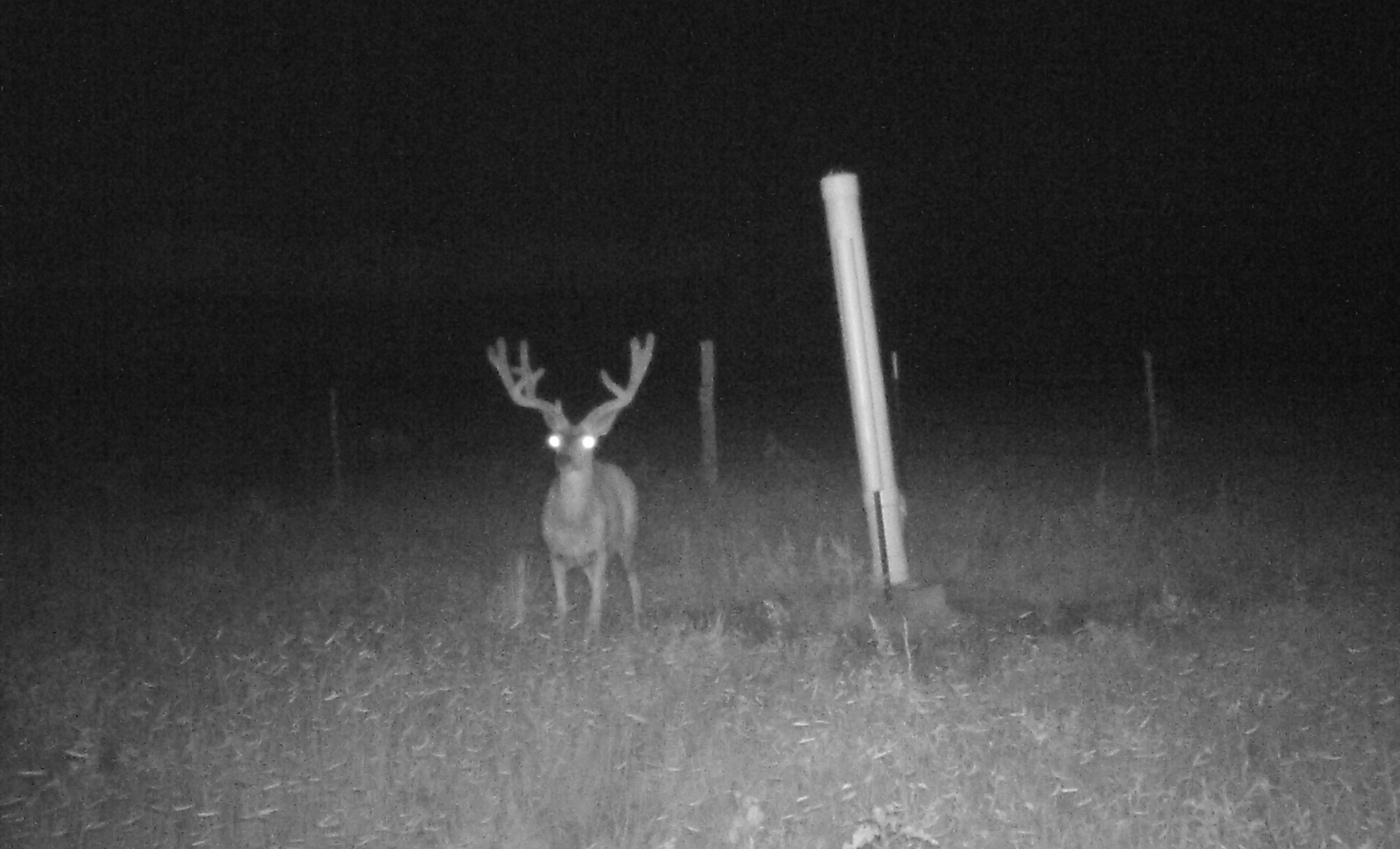 Block Ranch archival photograph 53