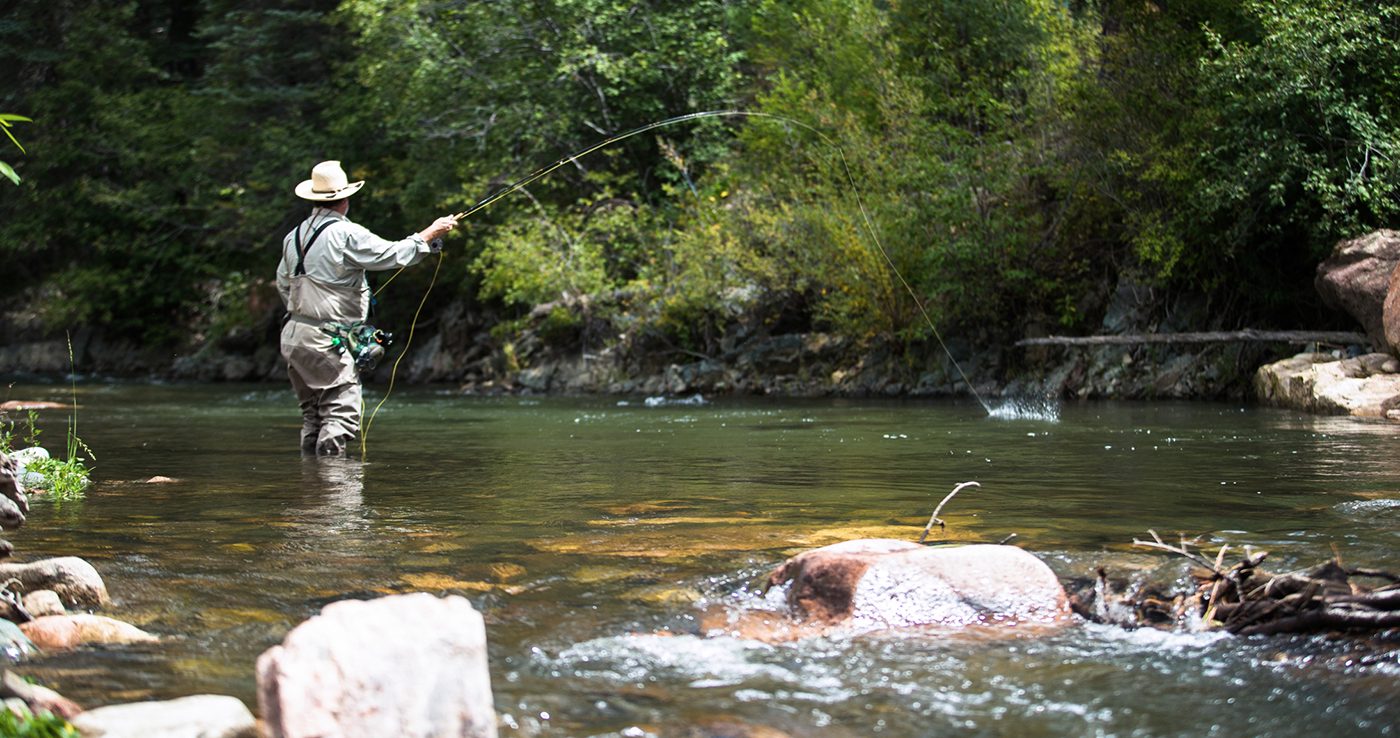 Fly fisherman casting in a wooded river