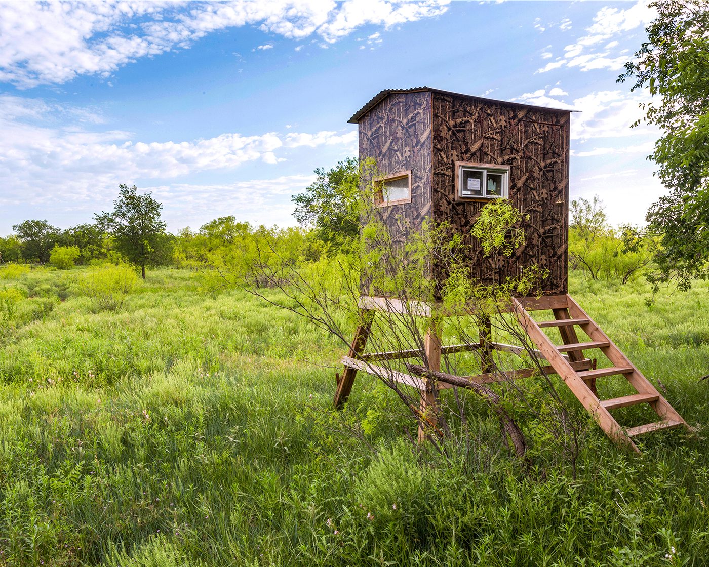 Hunting blind overlooking grassy ranch habitat