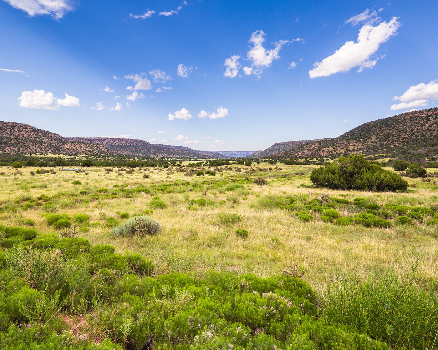 Open ranch pasture bordered by rugged hills
