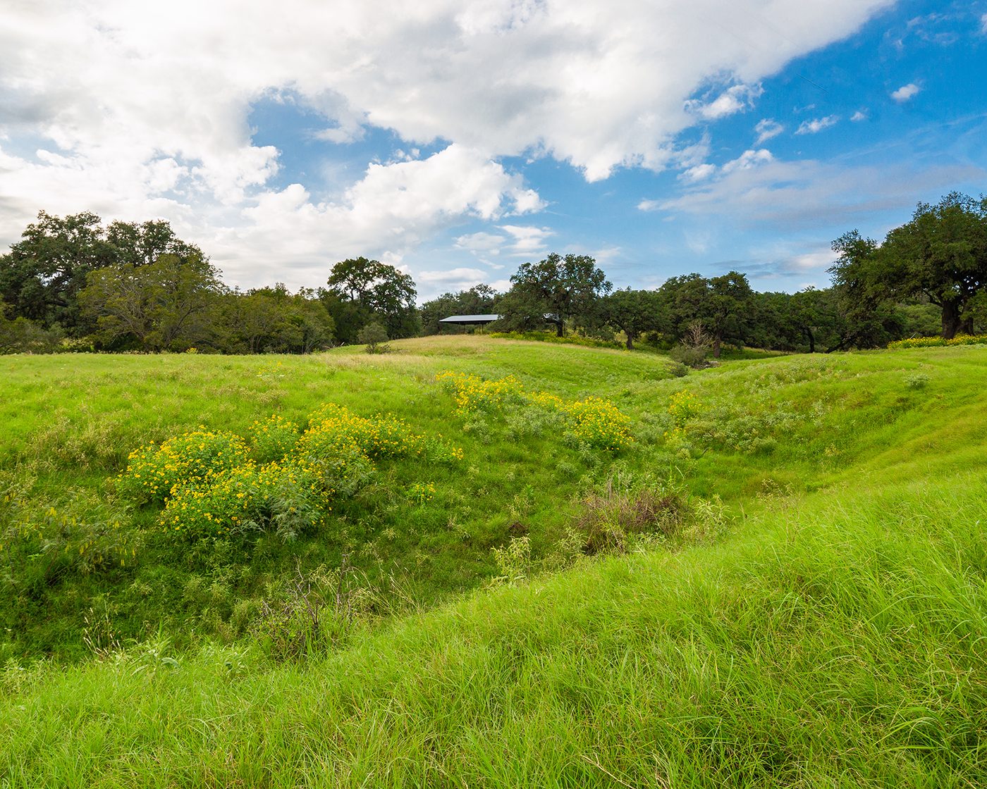 Open meadow with trees and a ranch shelter