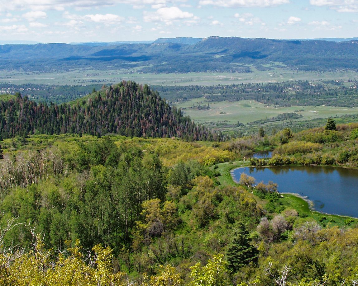 Wooded hills and a pond in rural ranch country
