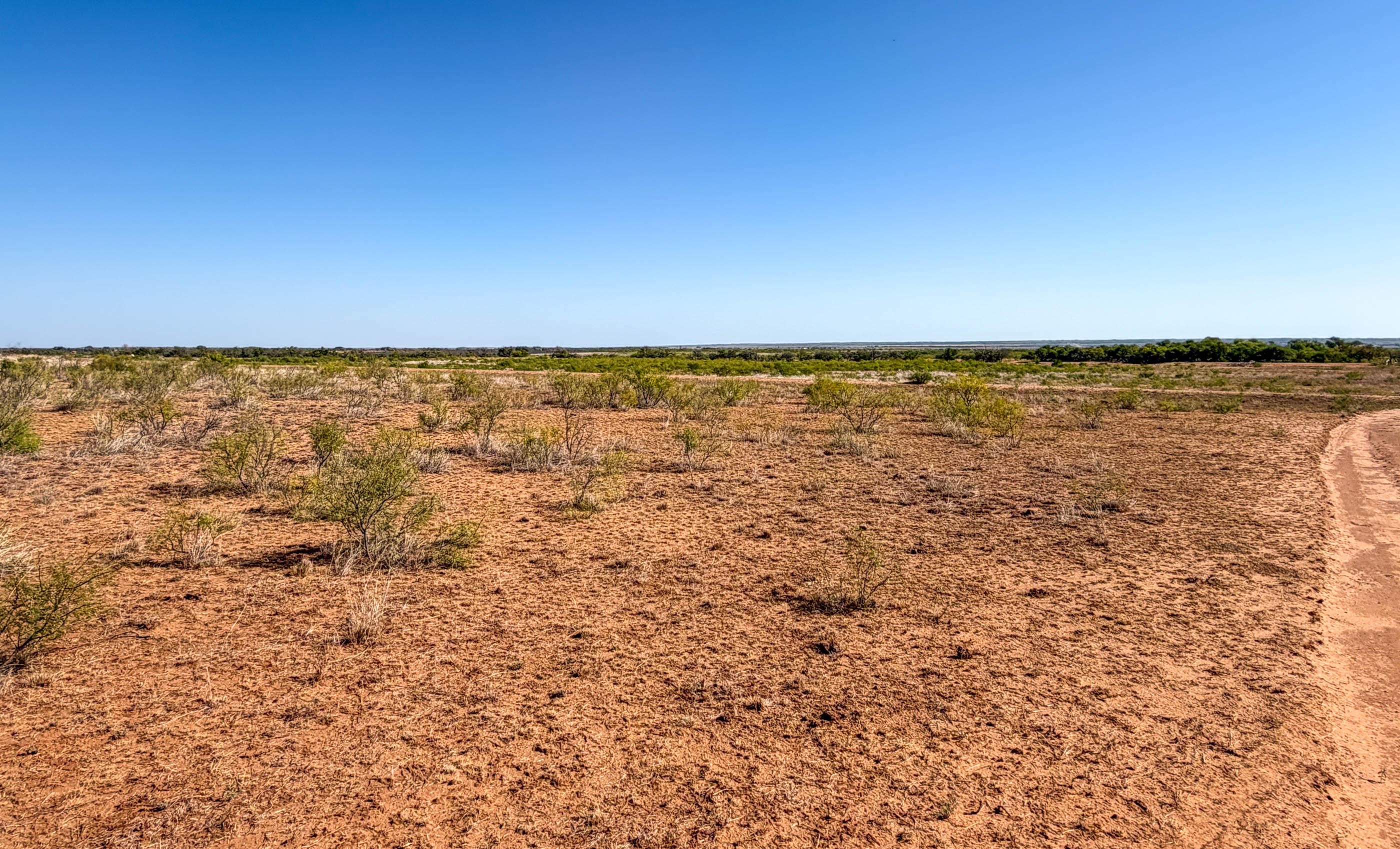 Young Family Ranch property photograph 19